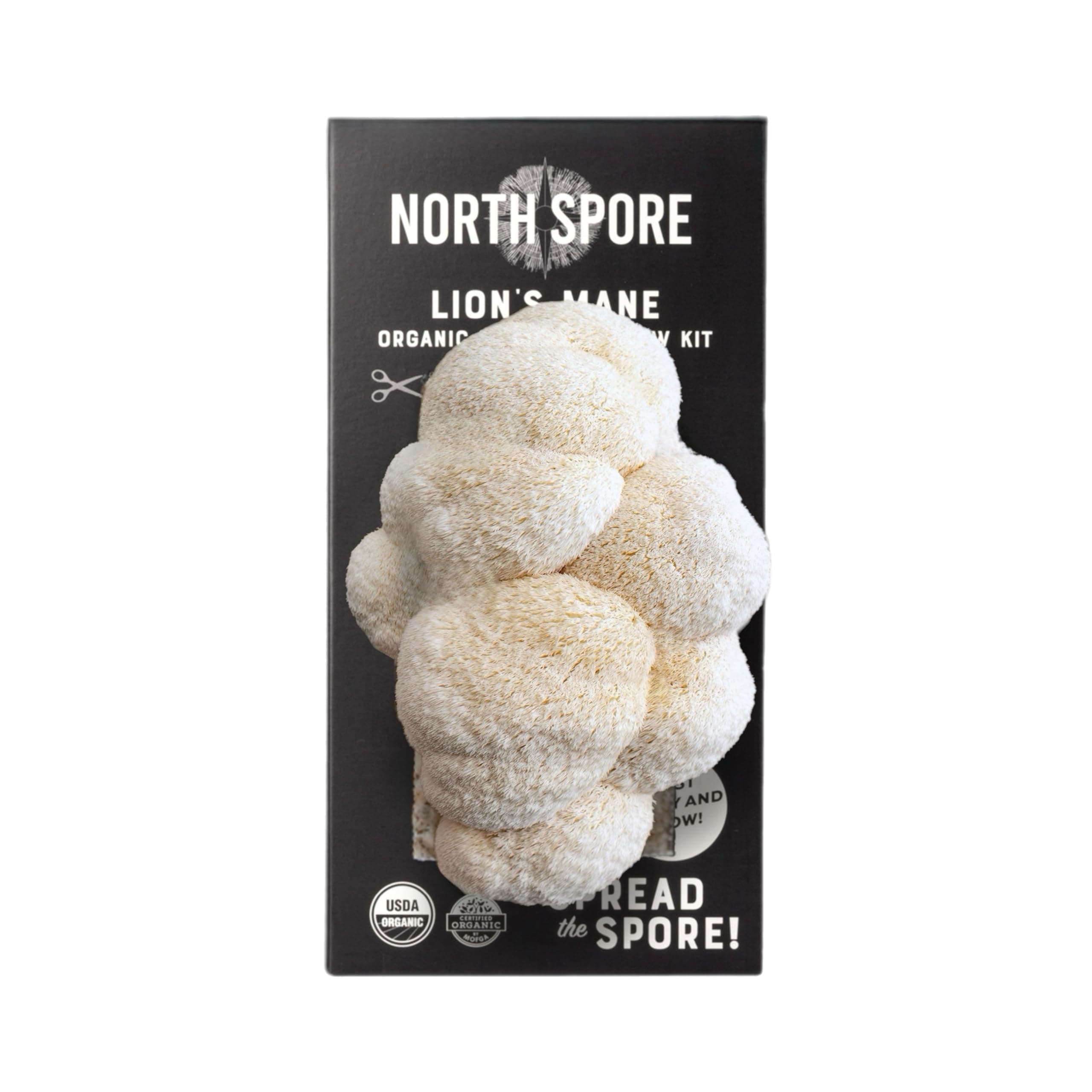 North Spore Organic Lion's Mane Mushroom Spray & Grow Kit (4 lbs) | USDA-Certified Organic, Non-GMO, Beginner-Friendly & Easy to Use | Handmade in Maine, USA