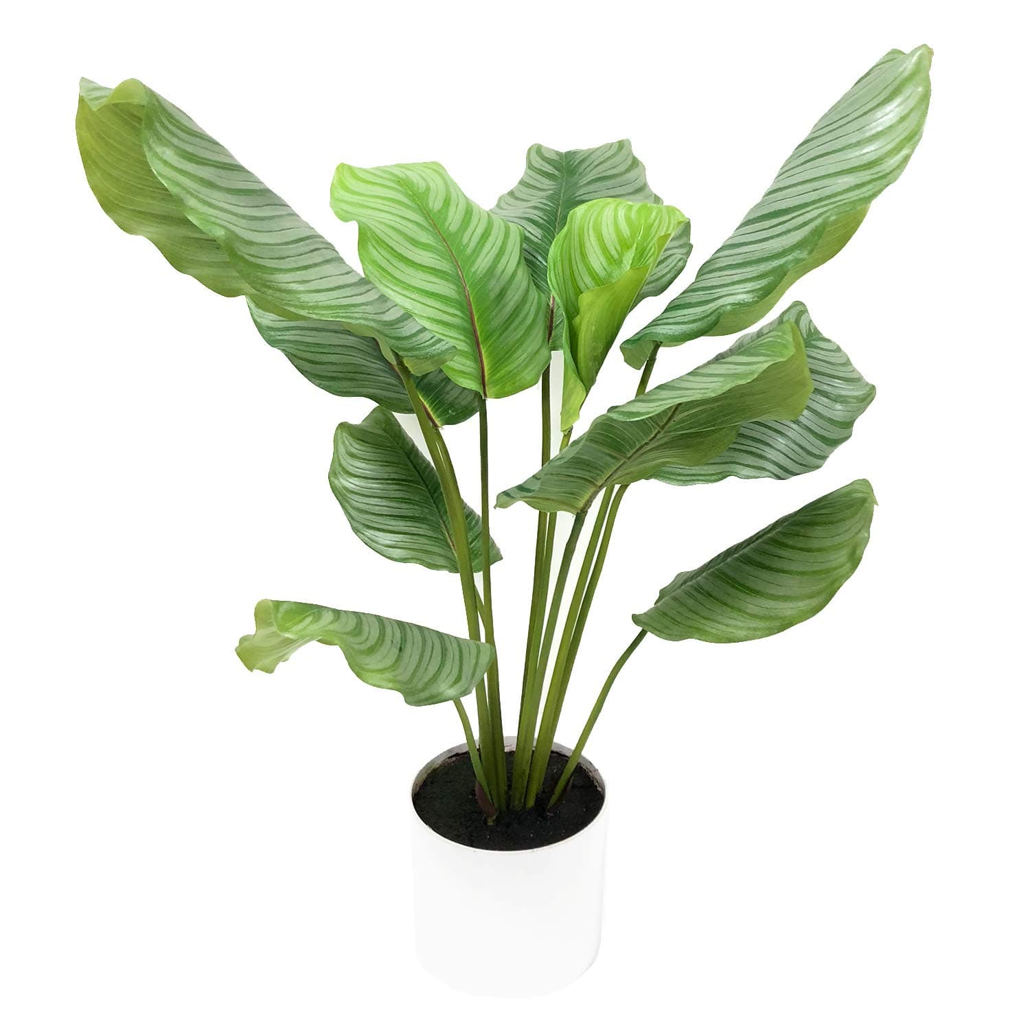 BESAMENATURE Artificial Calathea Orbifolia Plants, Potted Artificial Plant for Home Decor, 11 Leaves, 30" Tall, Green