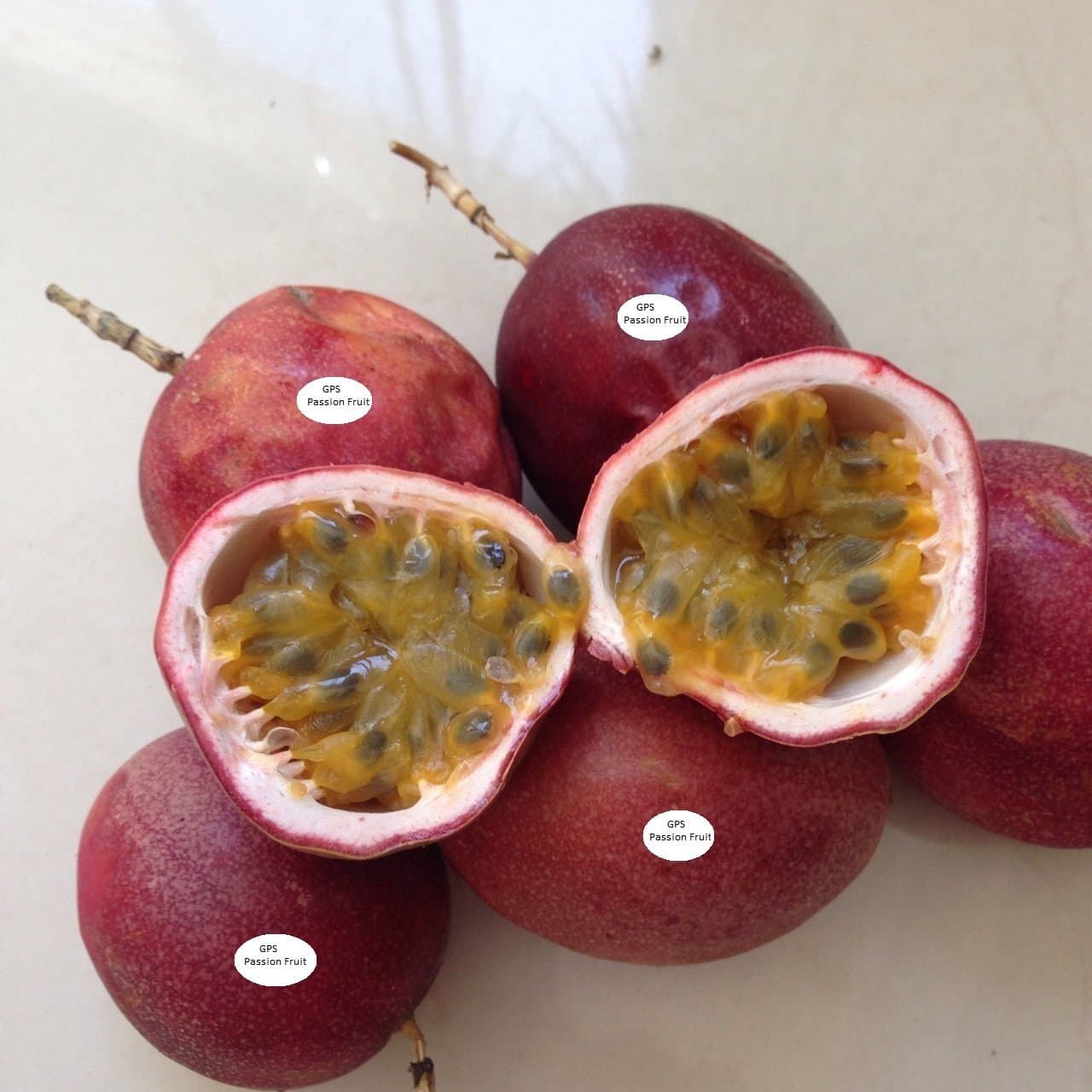 Fresh (GPS) Passion Fruits (1 Dozen)