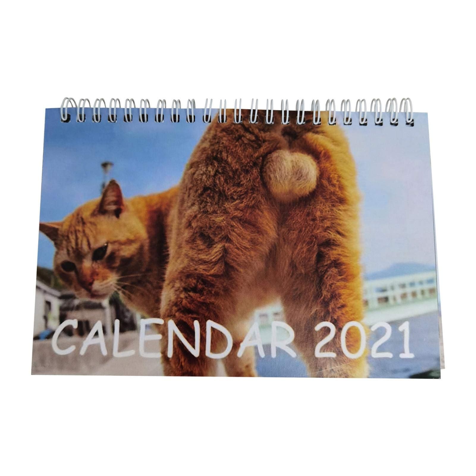 Didatecar Animal Calendar 2021 Wall Calendar, 15 x 21 cm