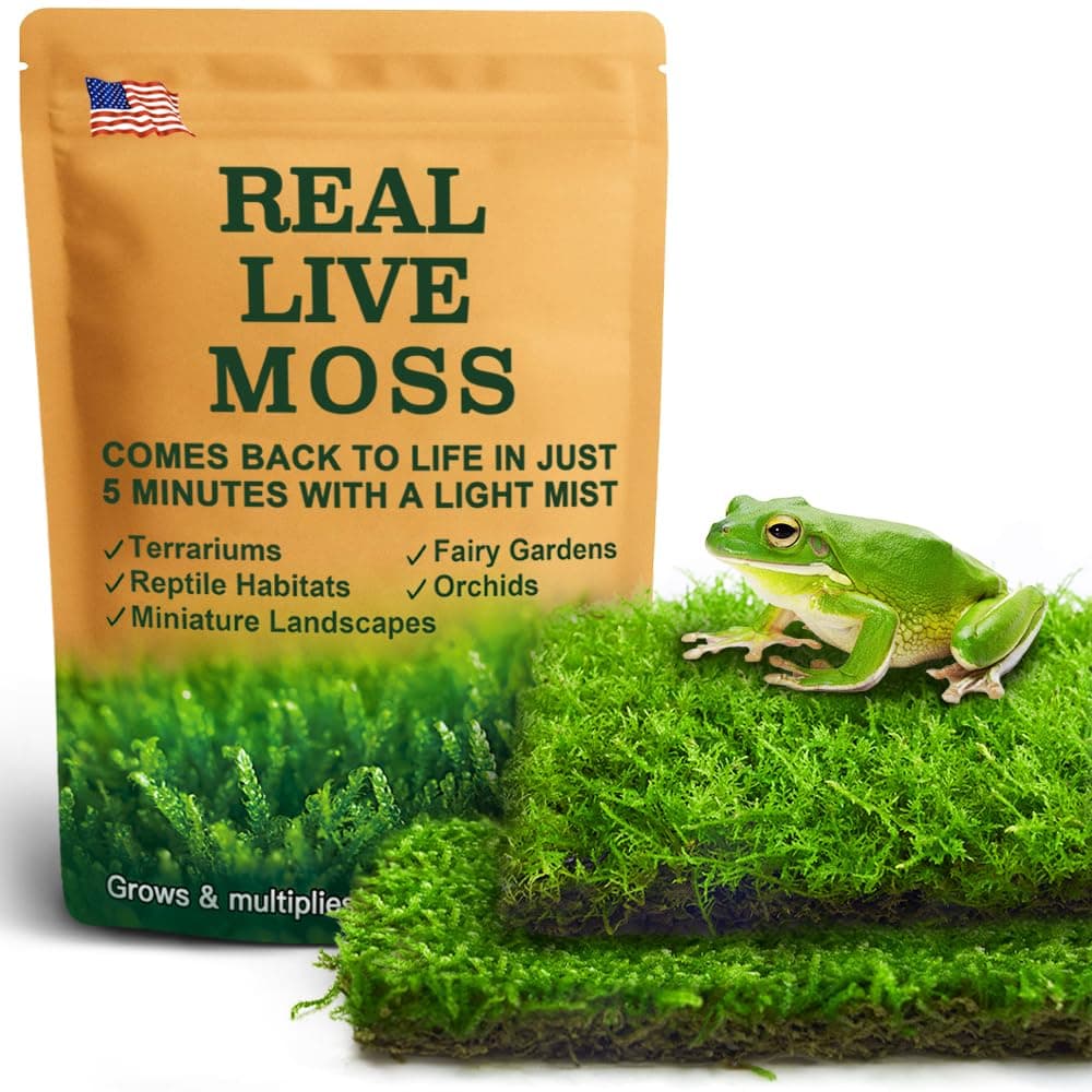 Fresh Live Terrariums Moss, 6"x9" Box - Perfect for Miniature,Bonsai, Reptiles, Succulents, Two Different Types of Fresh Living Moss Orchids,Home Decor and Moss Art| Guaranteed Live Arrival