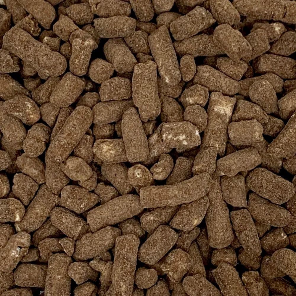 Mint Chocolate Nibbles │ 1 Kilo Sharing Bag │ 1KG │ Assorted Sweet Pick and Mix for Parties, Gifts, and Sharing by Candy Hive