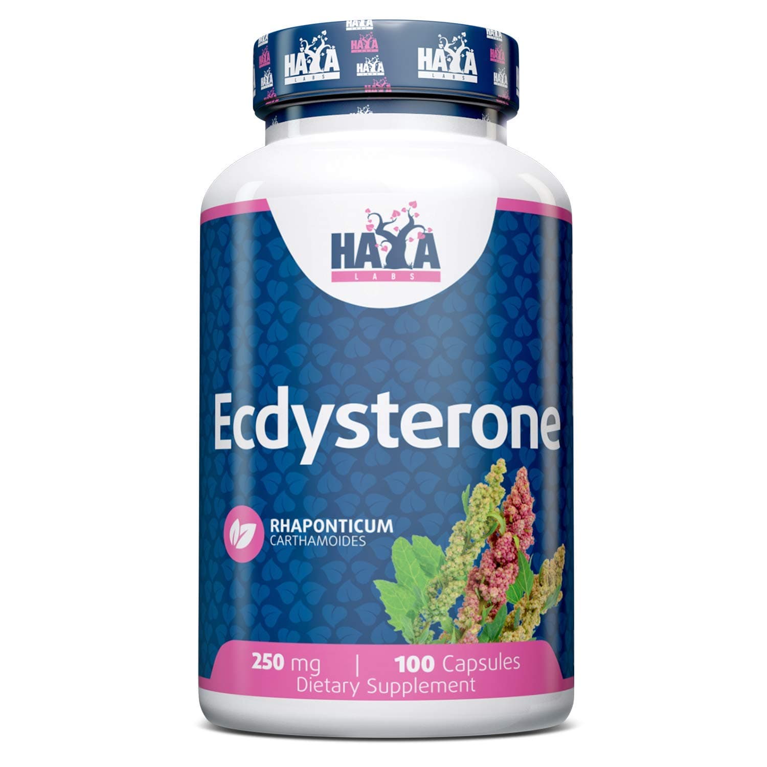 HAYA LABS Ecdysterones - Natural Muscle Growth & Weight Loss Supplement - 250MG x 100 Capsules - Supports Higher Lean Muscle Mass and Weight Loss