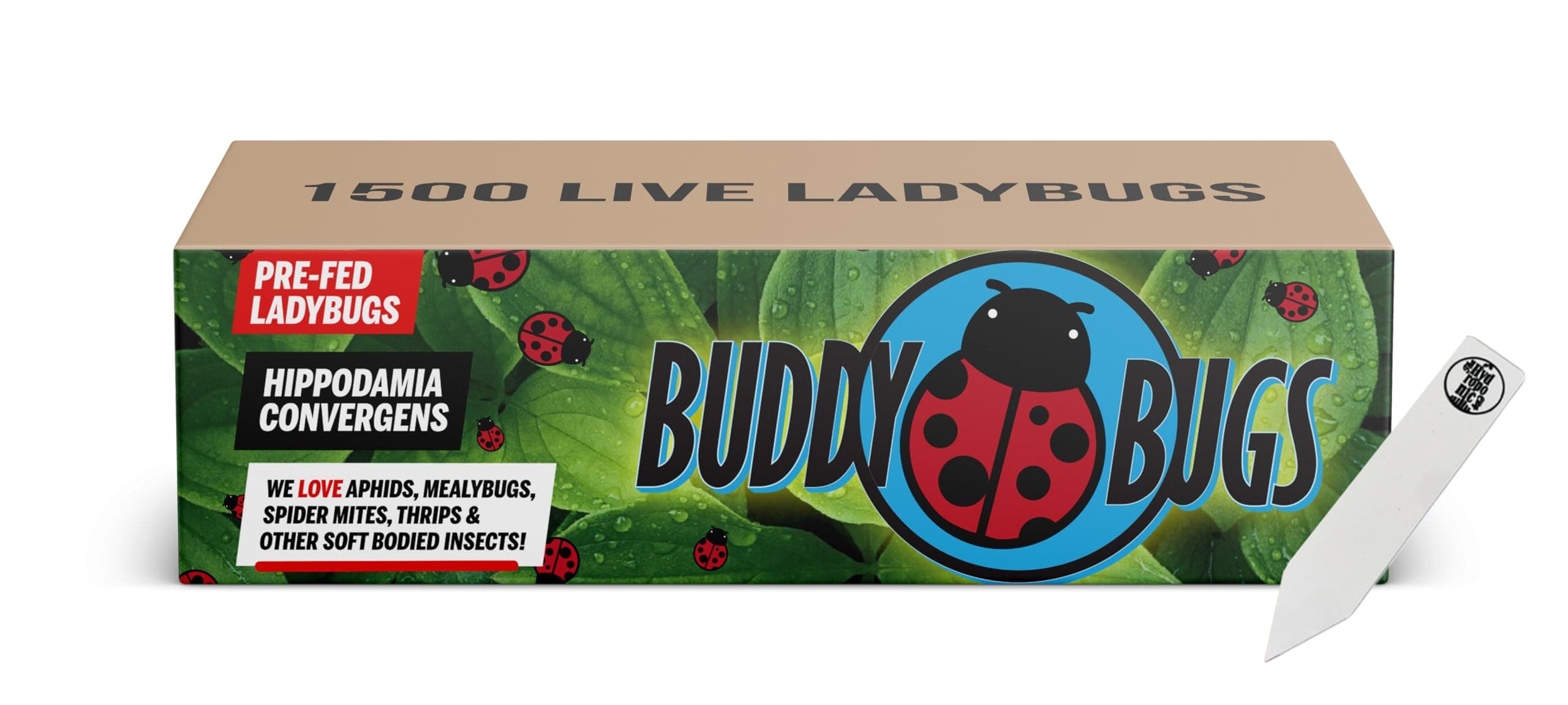 1500 Pre-Fed Live Ladybugs | BuddyBugs | Hippodamia Convergens | Guaranteed Live Delivery | for Aphid Control and Other Insects + THCity Stake