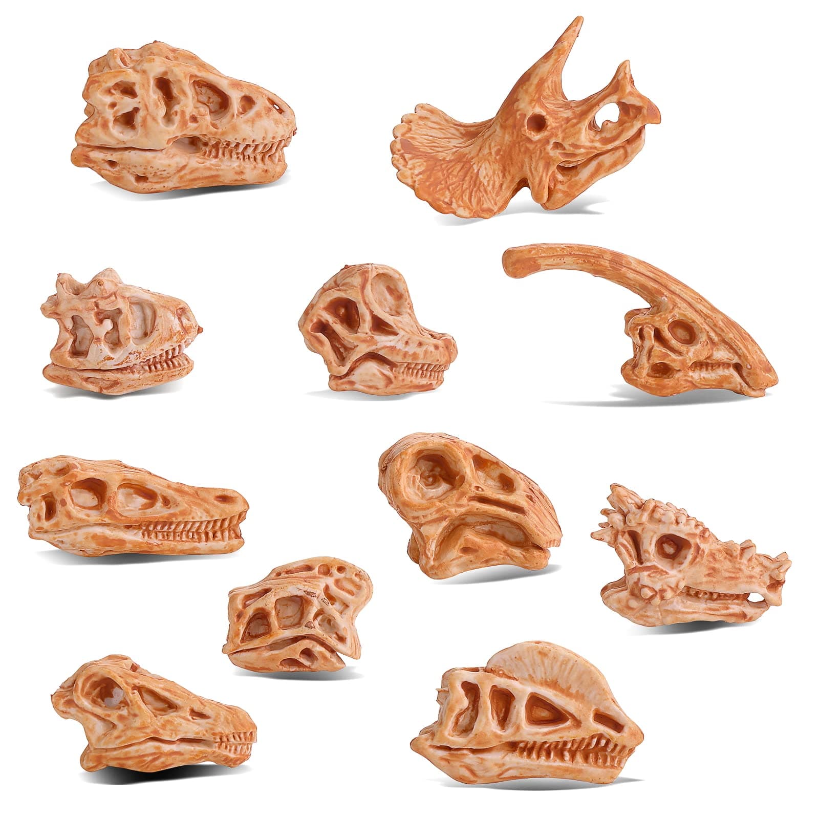 cobee Mini Dinosaur Head Skeleton, 11PCS Dino Bones Playset Dinosaur Fossil Figurines for Sandbox Dino Head Figures Dinosaur Skull Model Party Favor Decorations for Kids
