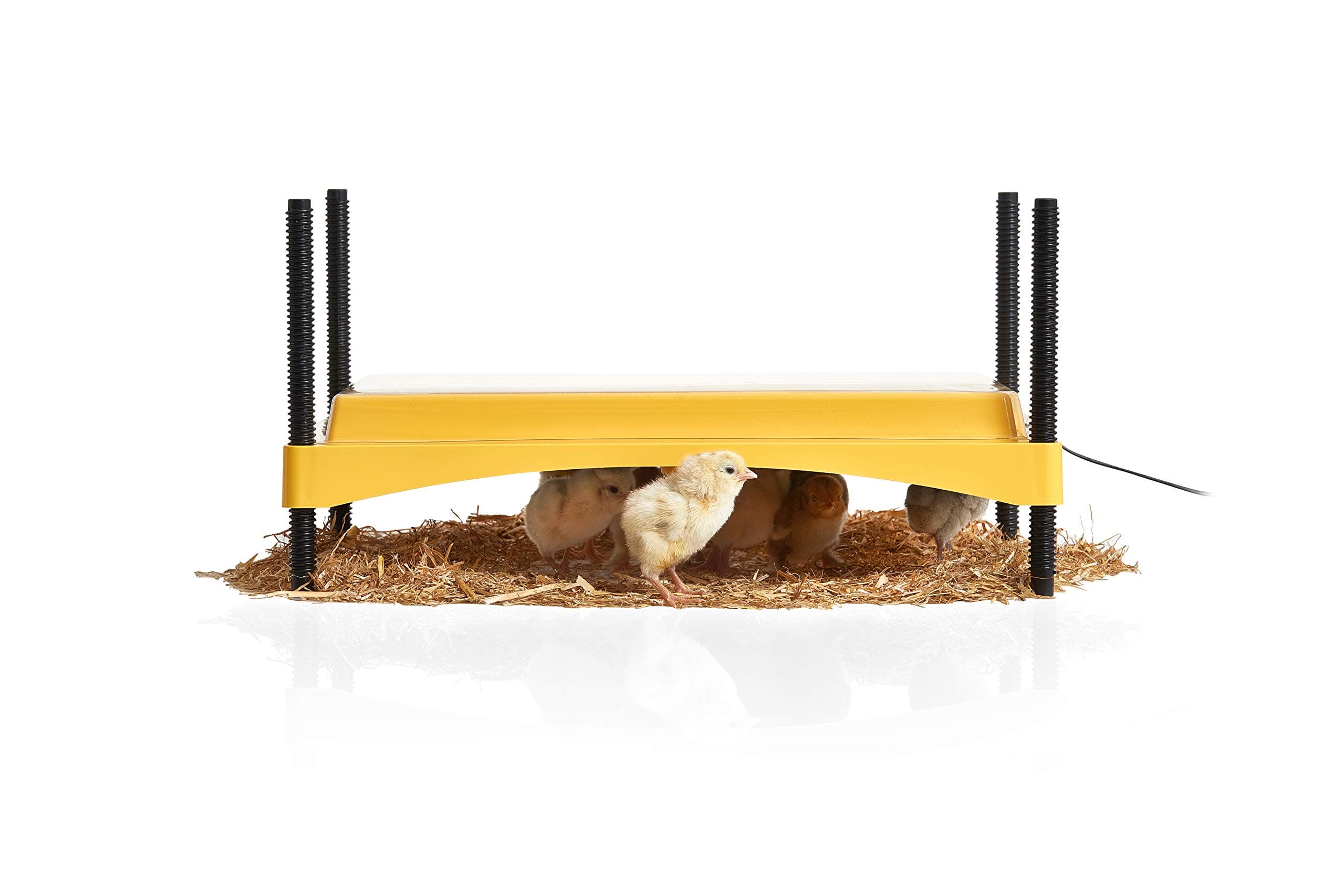 EcoGlow Safety 1200 Chick Brooder - Chick Brooder Heat Plate for Chicks - Heat Lamp Replacement - Made in Great Britain - 3 Year Guarantee