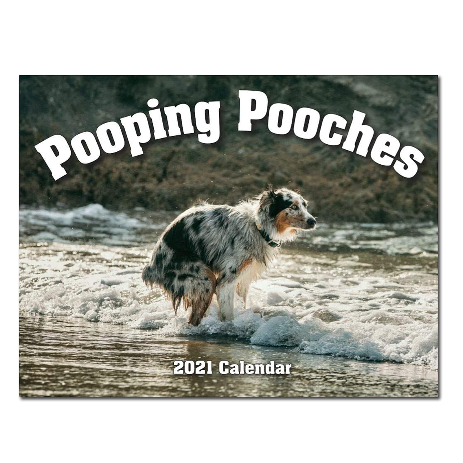2021 Calendar Pooping Pooches Funny Gag Gift Wall Calendar Pooping Dogs Calendary-Daerzy