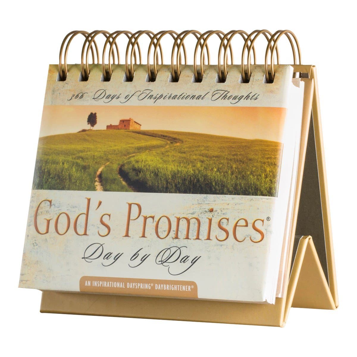 DaySpring God's Promises Day by Day: 365 Inspiring Thoughts - Perpetual Calendar DayBrightener