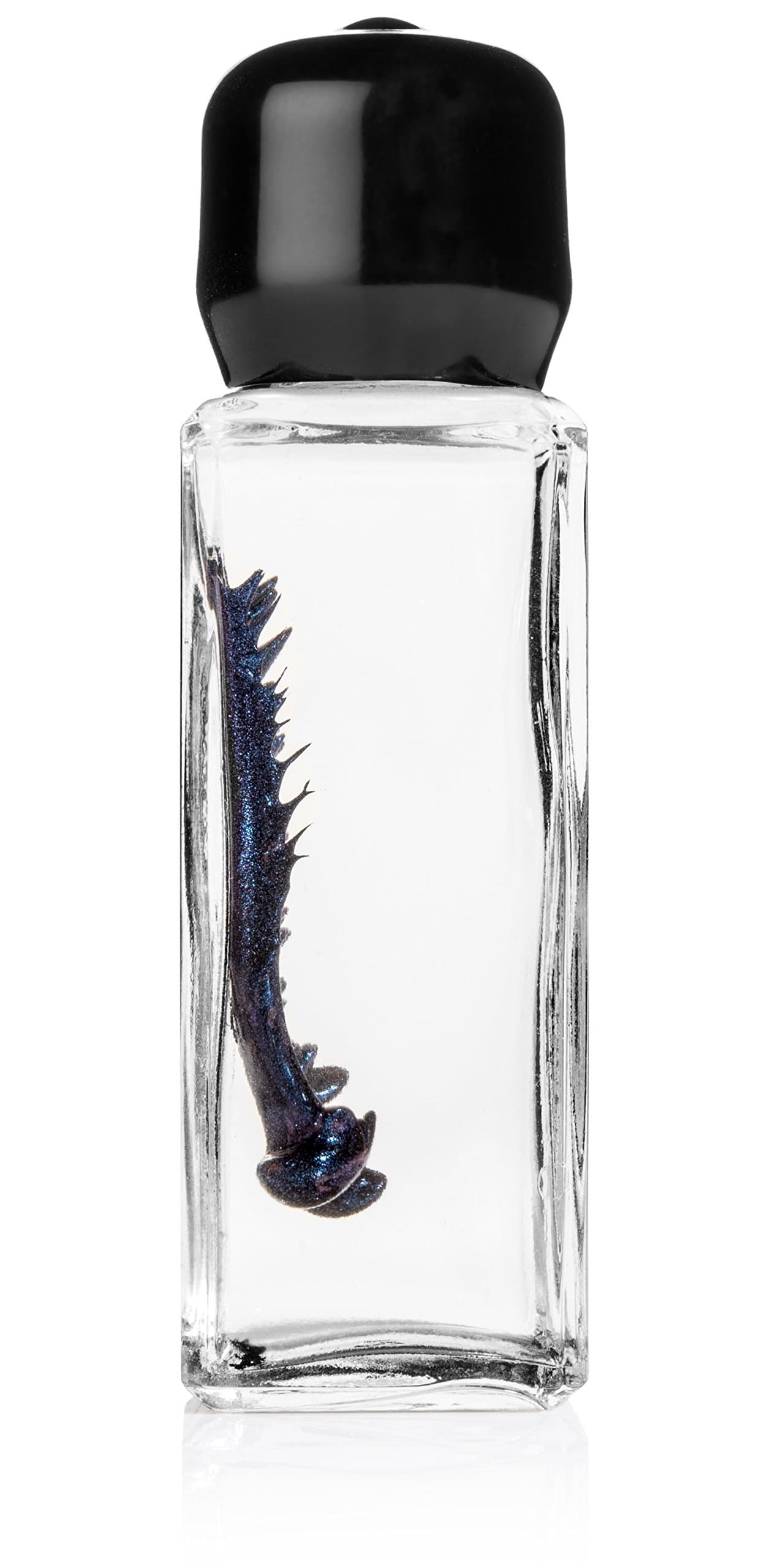 Inspired Designs Blue Colored Ferrofluid in a Bottle Display - Magnetic Ferrofluid Decorative Magnet - Science Kit - 1 Count - Glass Bottle