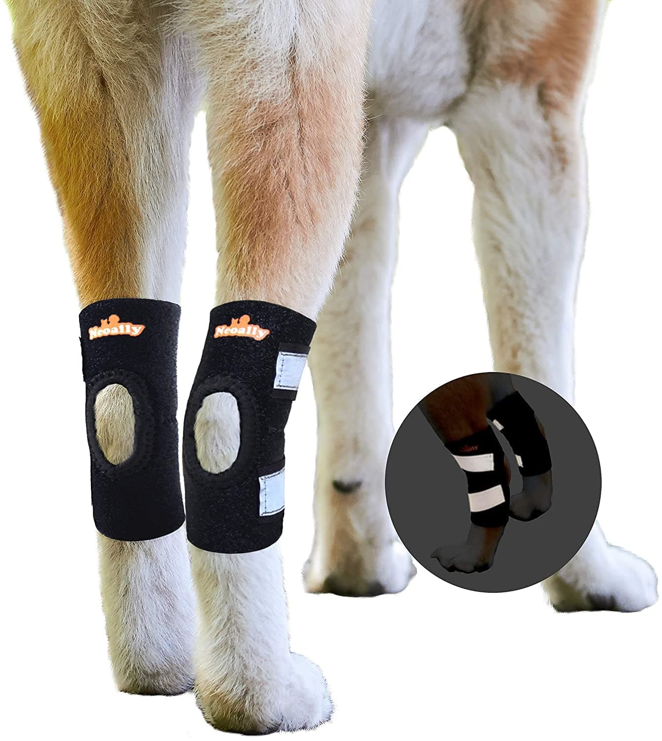 Cat and Dog Ankle Brace Pair Canine Rear Leg Hock Support with Safety Reflective Straps for Hind Leg Wounds Heal and Injuries and Sprains from Arthritis (S Pair)