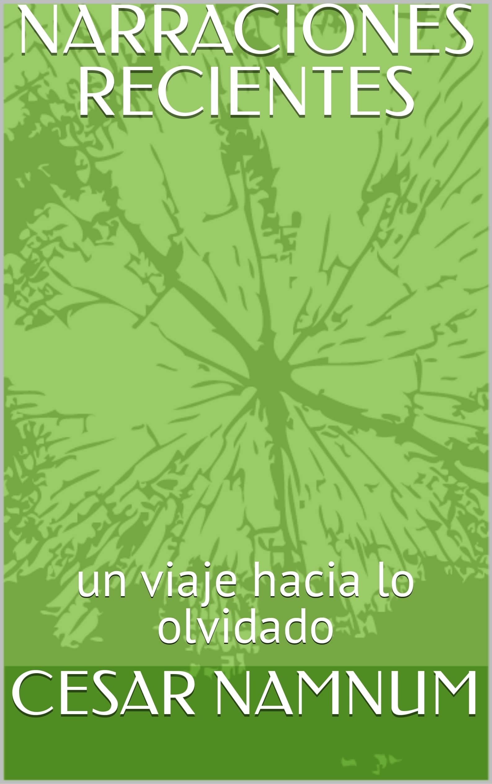 NARRACIONES RECIENTES: un viaje hacia lo olvidado (CÉSAR NAMNUM...TEXTOS DEL MILENIO...BANCO DE OTOÑO (2003) MACACO (2013) NARRACIONES RECIENTES (2021) nº 3) (Spanish Edition)