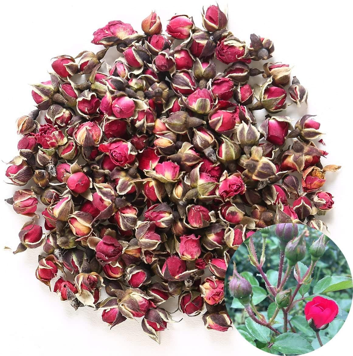 Dried Flower Tea Fragrant Red Golden-rim Rose Buds Rose Petals Natural Herbal for Tea, Culinary Food Grade - 8 OZ