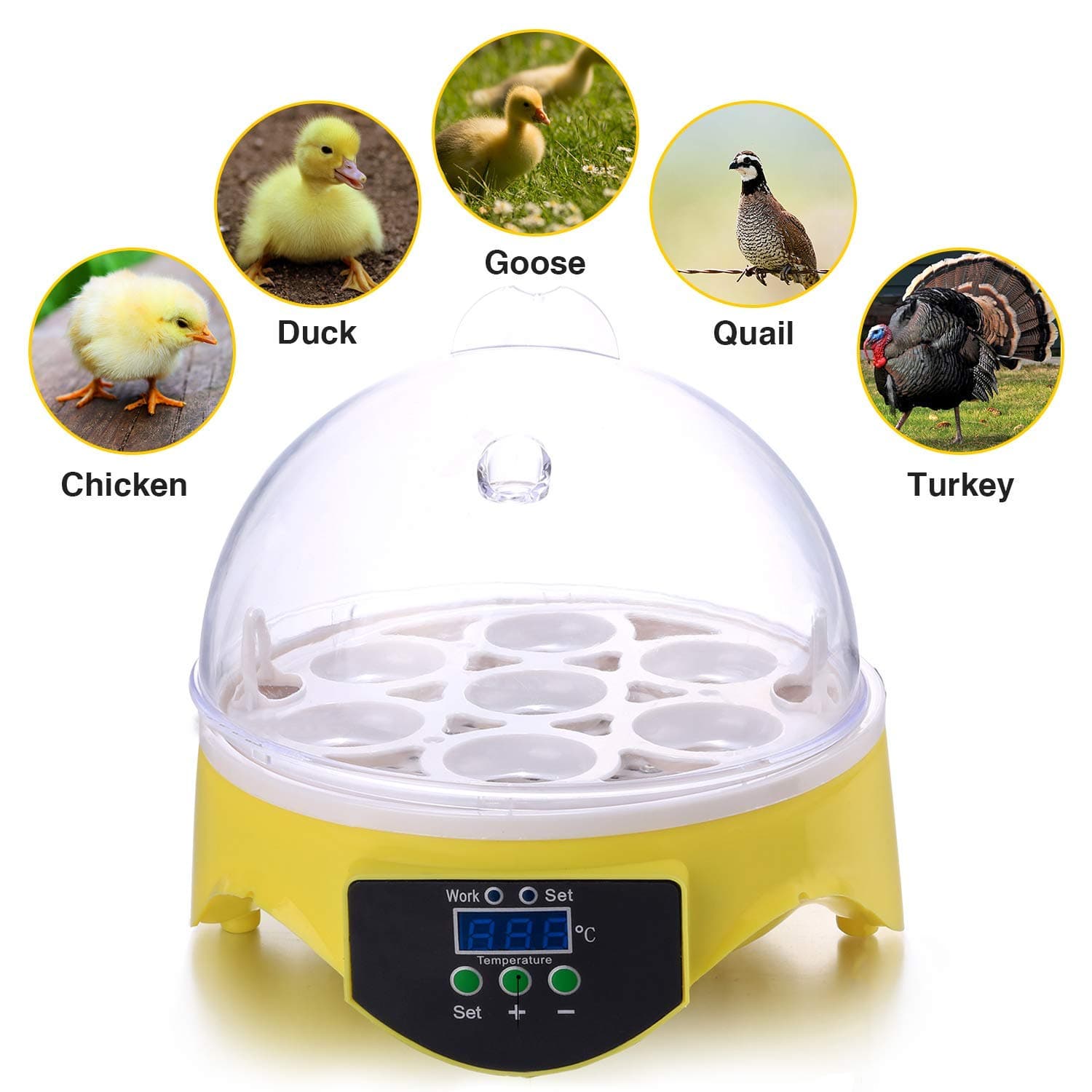 AmyChic New Digital 7 Eggs Incubator Chicken Poultry Turkey Egg Hatcher CE Certificated