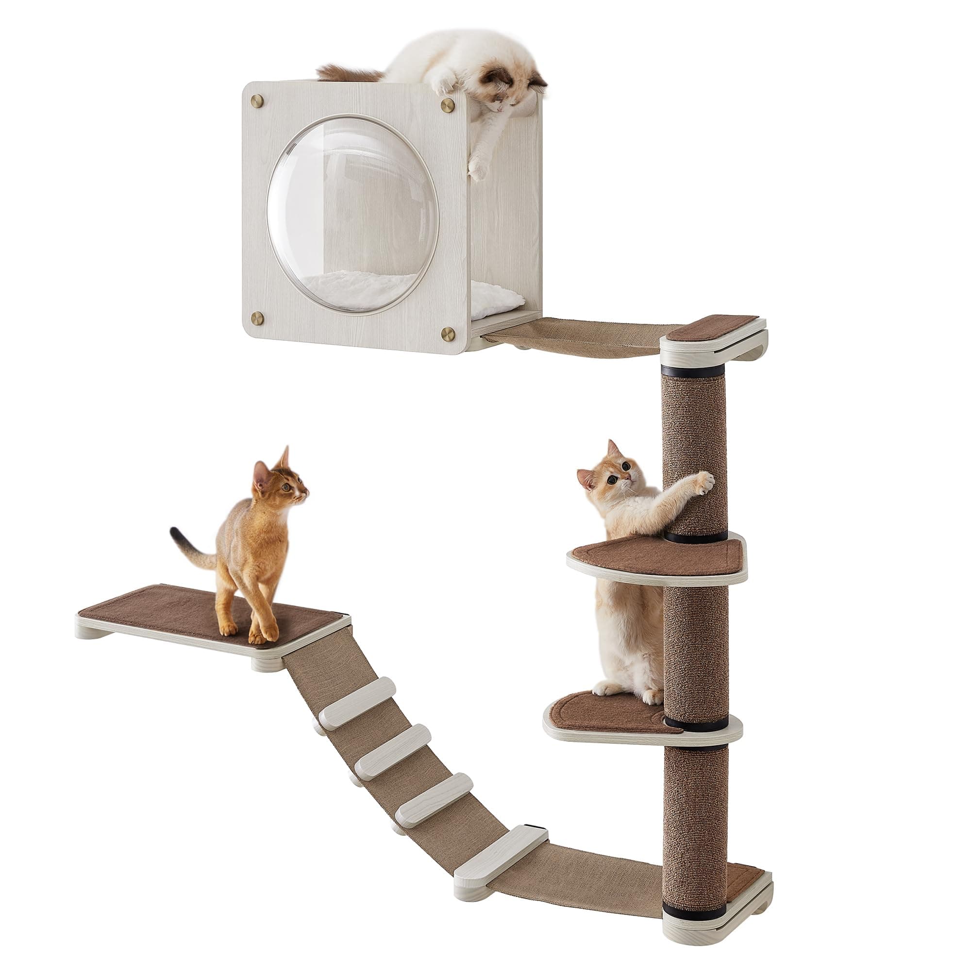 Feandrea Clickat Oasis Cat Wall Furniture, Set of 5, Cat Climbing Wall, Cat Shelf, Cat Hammock, Scratching Post, Cat Cave, Replaceable Washable Parts, Oatmeal Brown and Coffee Brown PCK900T66