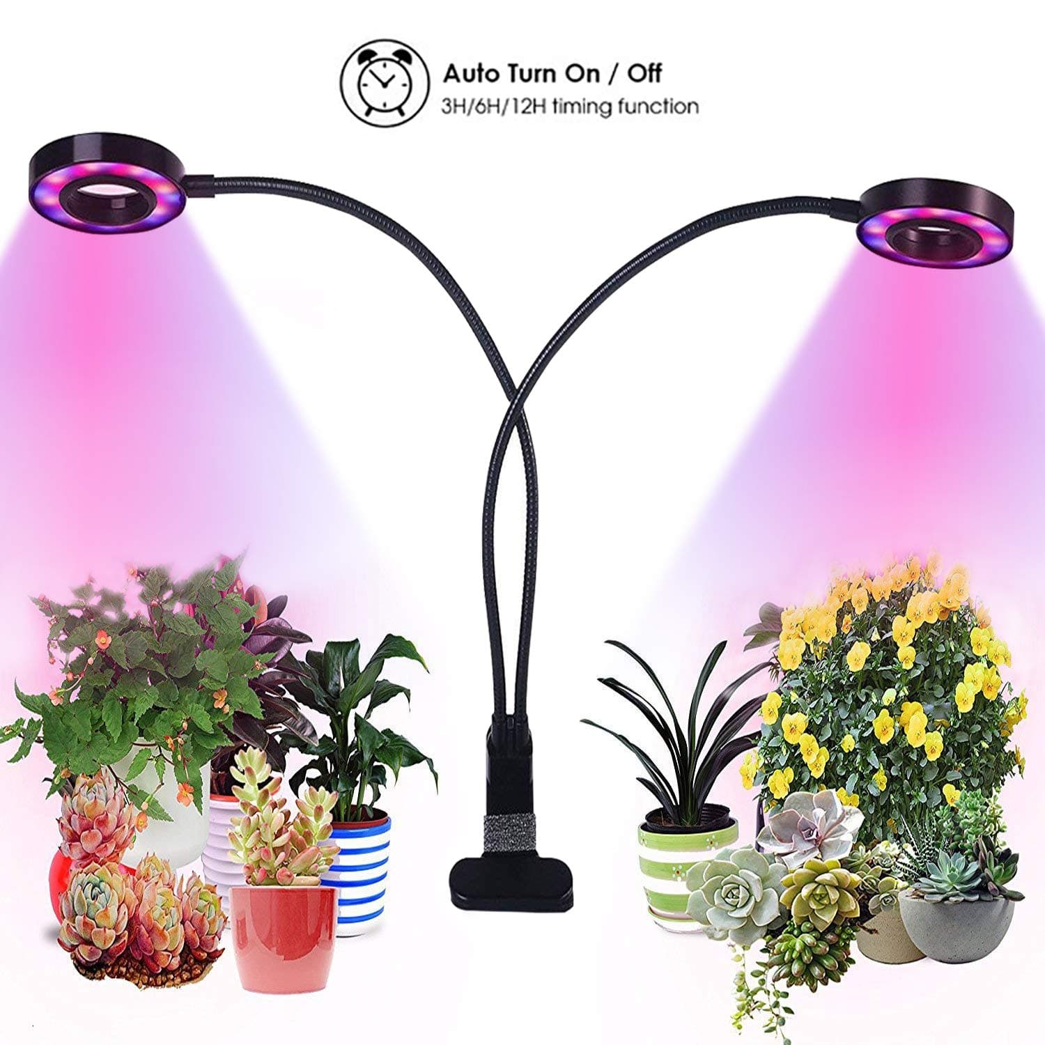 Upgrade Dual Head 20W Plant Light - Grow Light for Indoor Plants, Full Spectrum Growing Lamp Auto Turn On/Off 3/6/12H Timmer, Red/Blue/White Spectrum Change, Great for Greenhouse, Office Reading