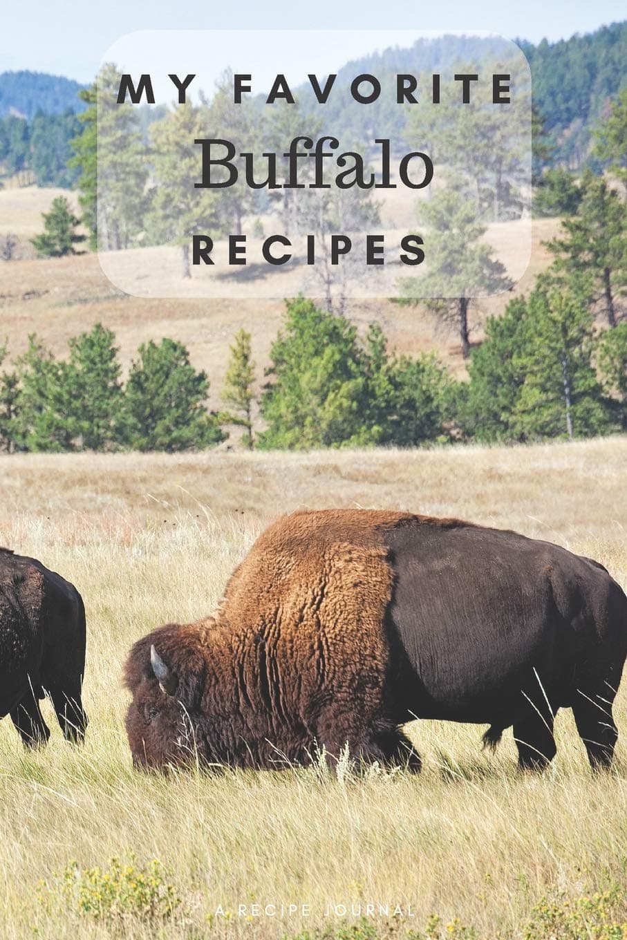 My favorite buffalo recipes: Blank book for great recipes and meals