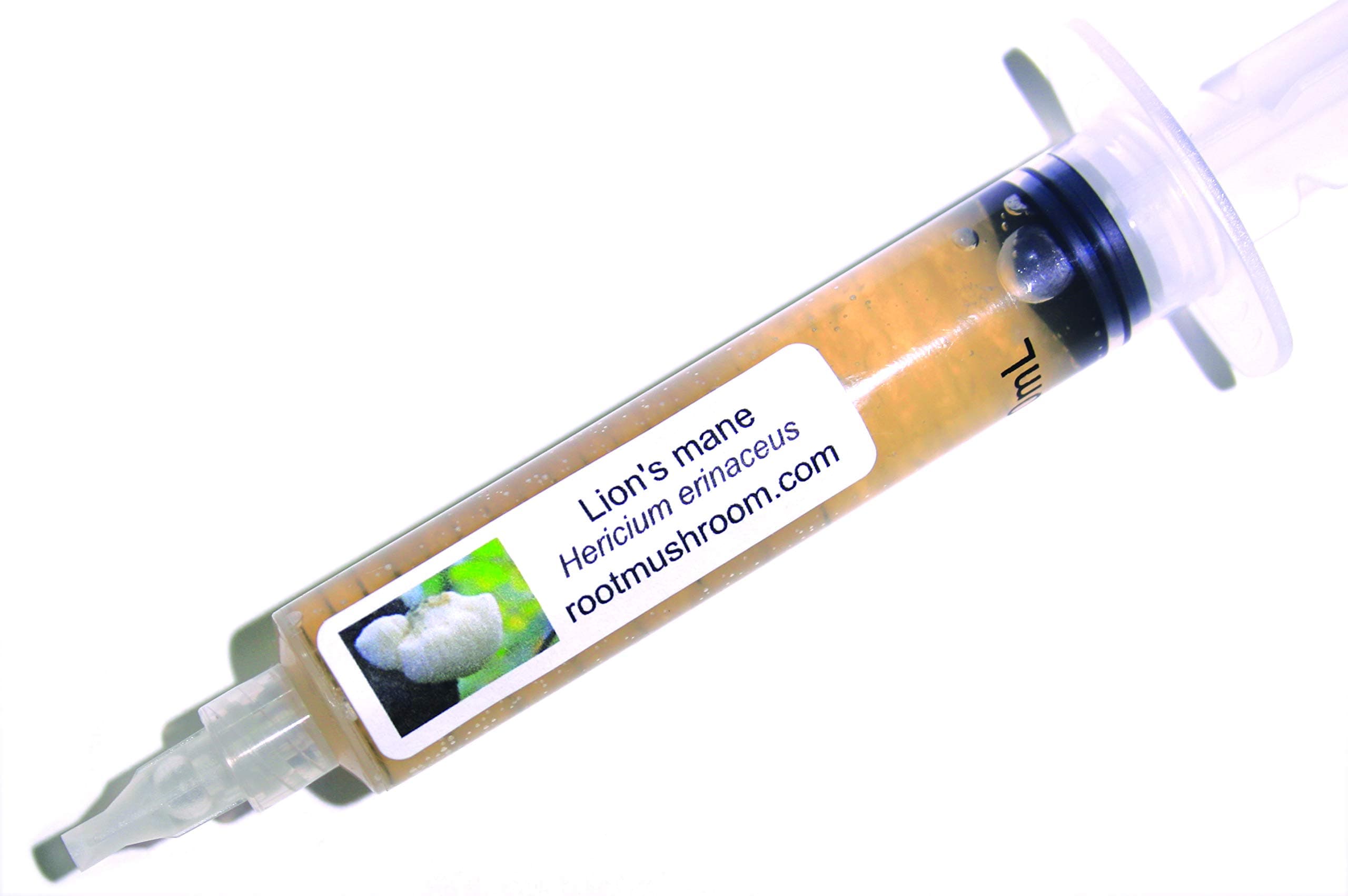 Mushroom Liquid Cultures/Lion's Mane(Hericium erinaceus)