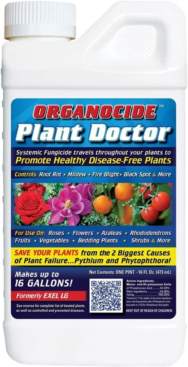 810011 Exel LG Systemic Concentrated Fungicide, 1-Pint - OLSFPT