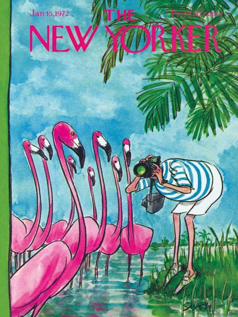 New York Puzzle Company - New Yorker Flamingo Photographer - 500 Piece Jigsaw Puzzle