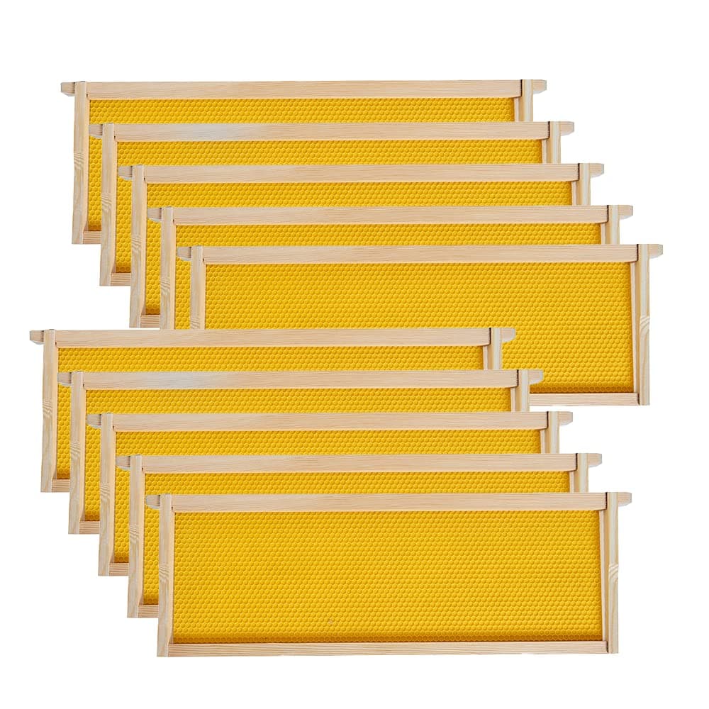 MayBee Hives-Medium Super Beehive Frames and Foundations,10 Pack Honey Bee Frames with 100% Beeswax Coated Food Grade Foundation Sheets
