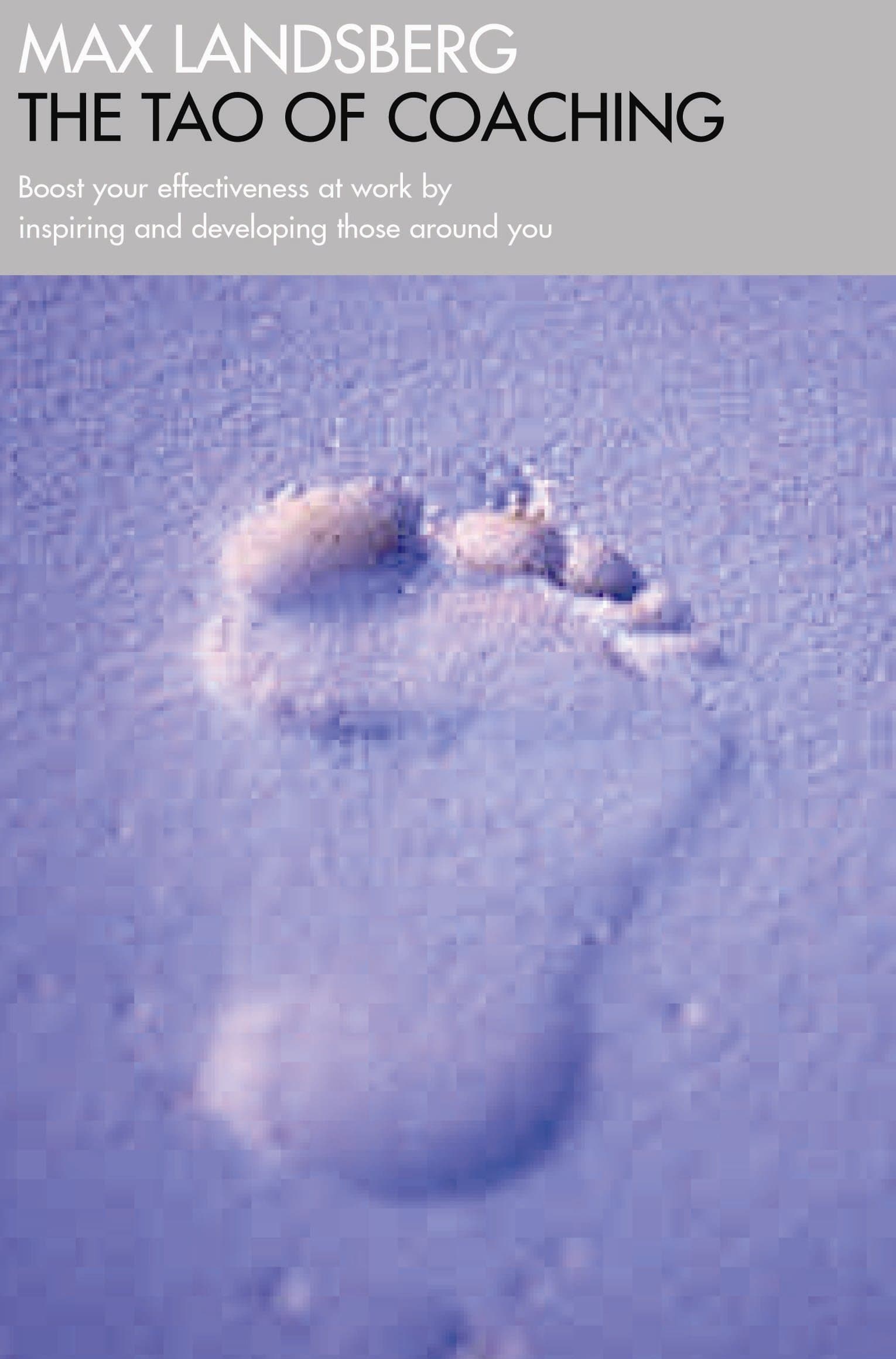 The Tao Of Coaching: Boost Your Effectiveness At Work By Inspiring And Developing Those Around You Paperback – January 1, 2009