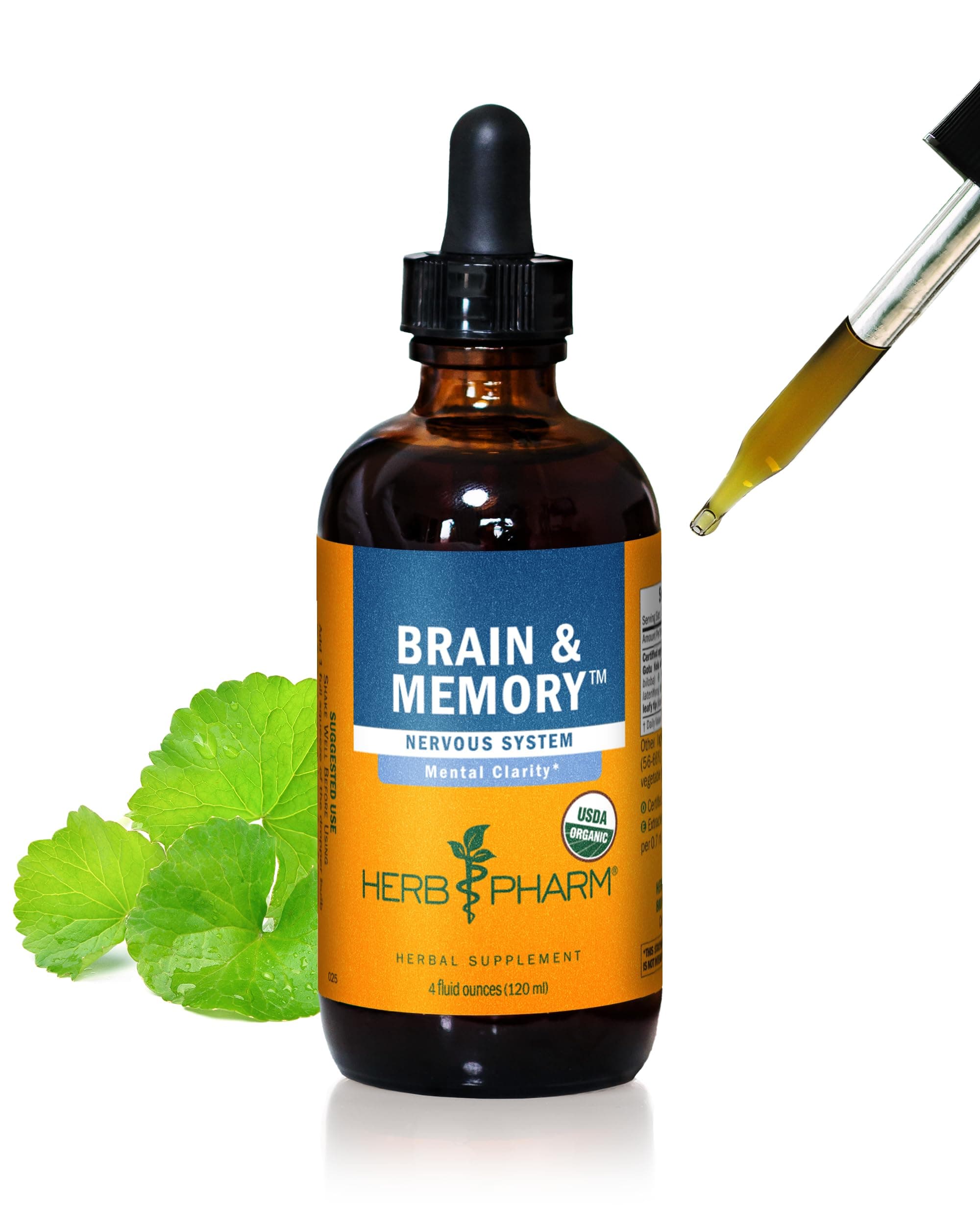 Brain and Memory Liquid Herbal Formula with Ginkgo for Memory and Concentration, 4 Fl Oz