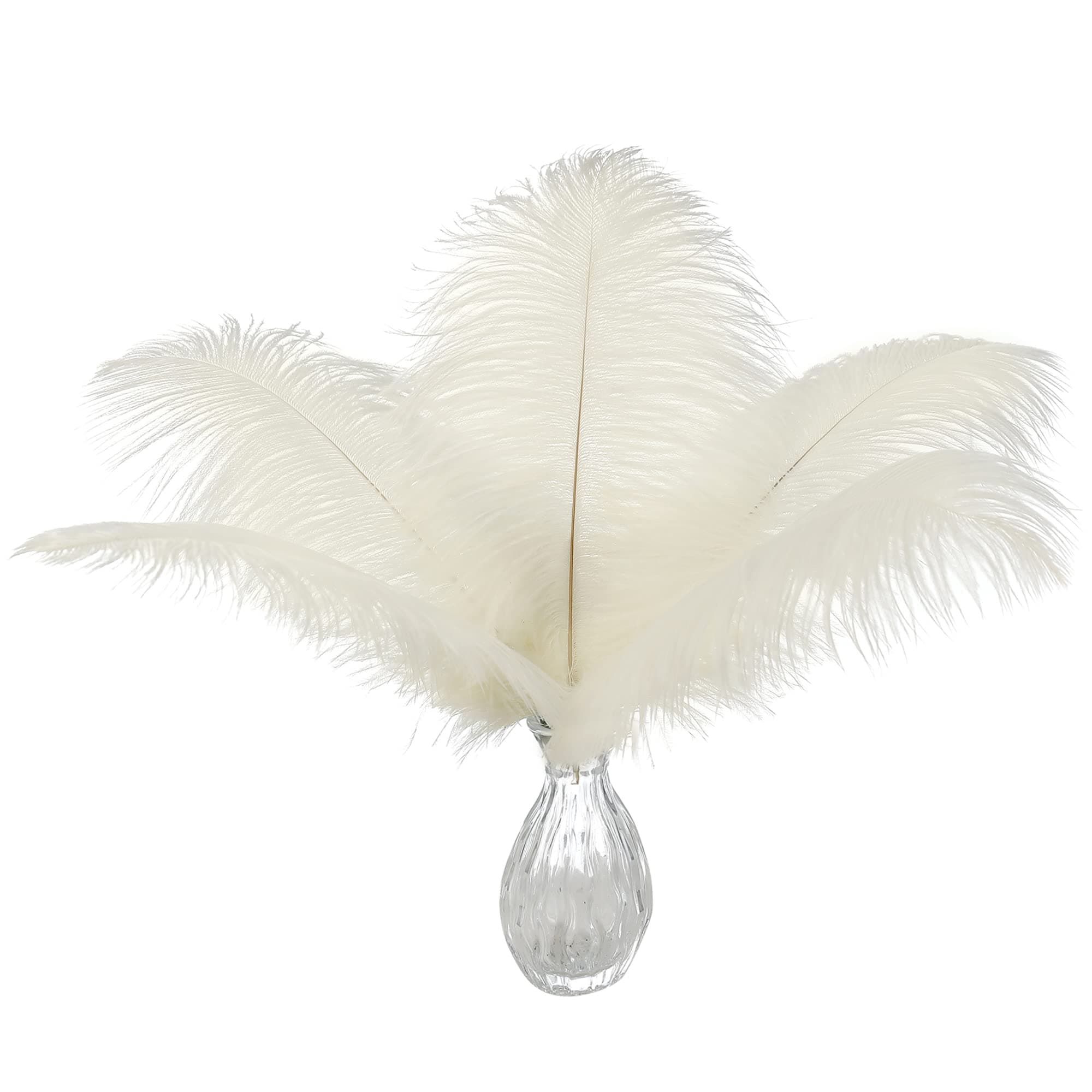 Ballinger Beige Ostrich Feathers Bulk - 24pcs 10-12inch Boho Feathers for vase,Wedding Party Centerpieces and Home Decor