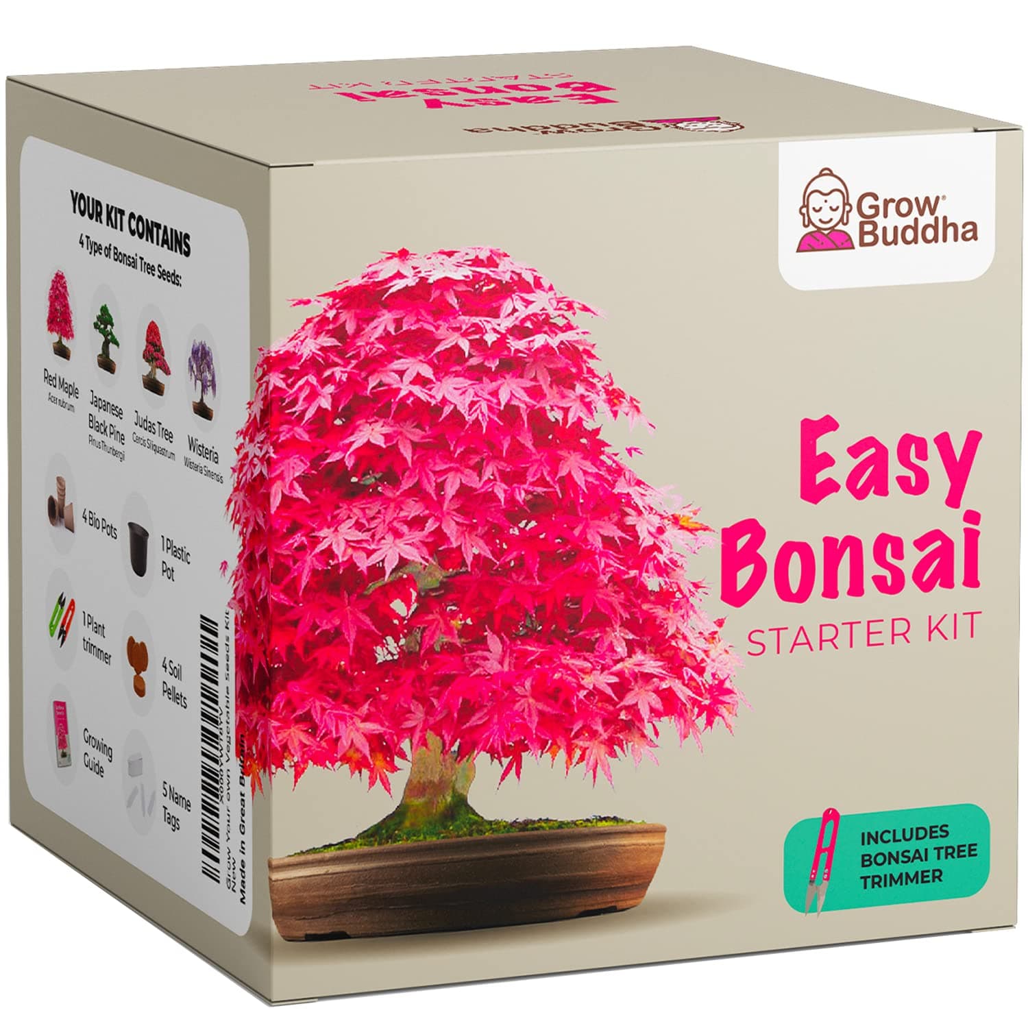 Grow Your own Bonsai kit – Easily Grow 4 Types of Bonsai Trees with Our Complete Beginner Friendly Bonsai Seeds Starter kit – Unique Seed kit Gift idea
