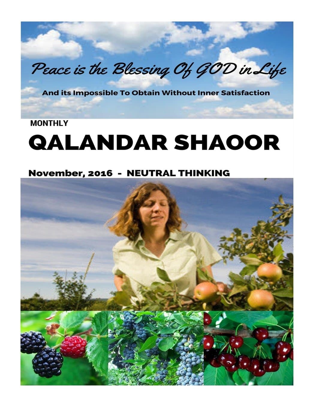 Monthly Qalandar Shaoor: November, 2016 - Neutral Thinking Paperback – 11 Nov. 2016