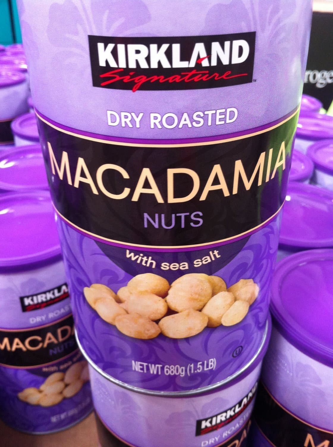 Kirklland Signature Dry Roasted Macadamias 24 Oz (Pack of 3)