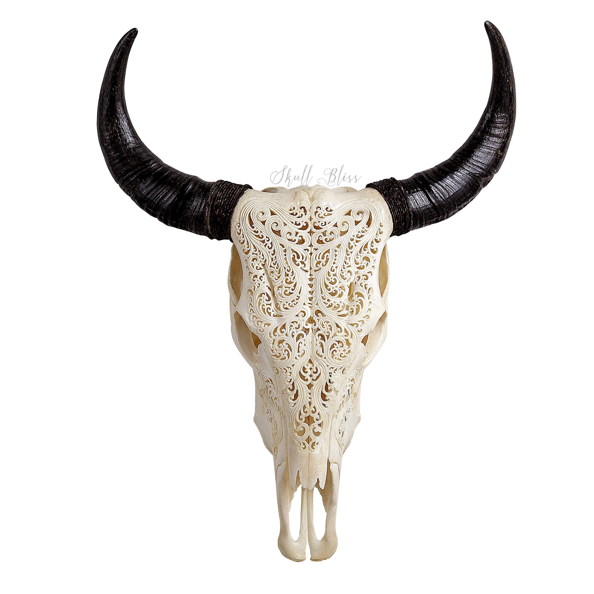 25'' Real Cow Skull with Horns & Tribal Carving - by Skullbliss