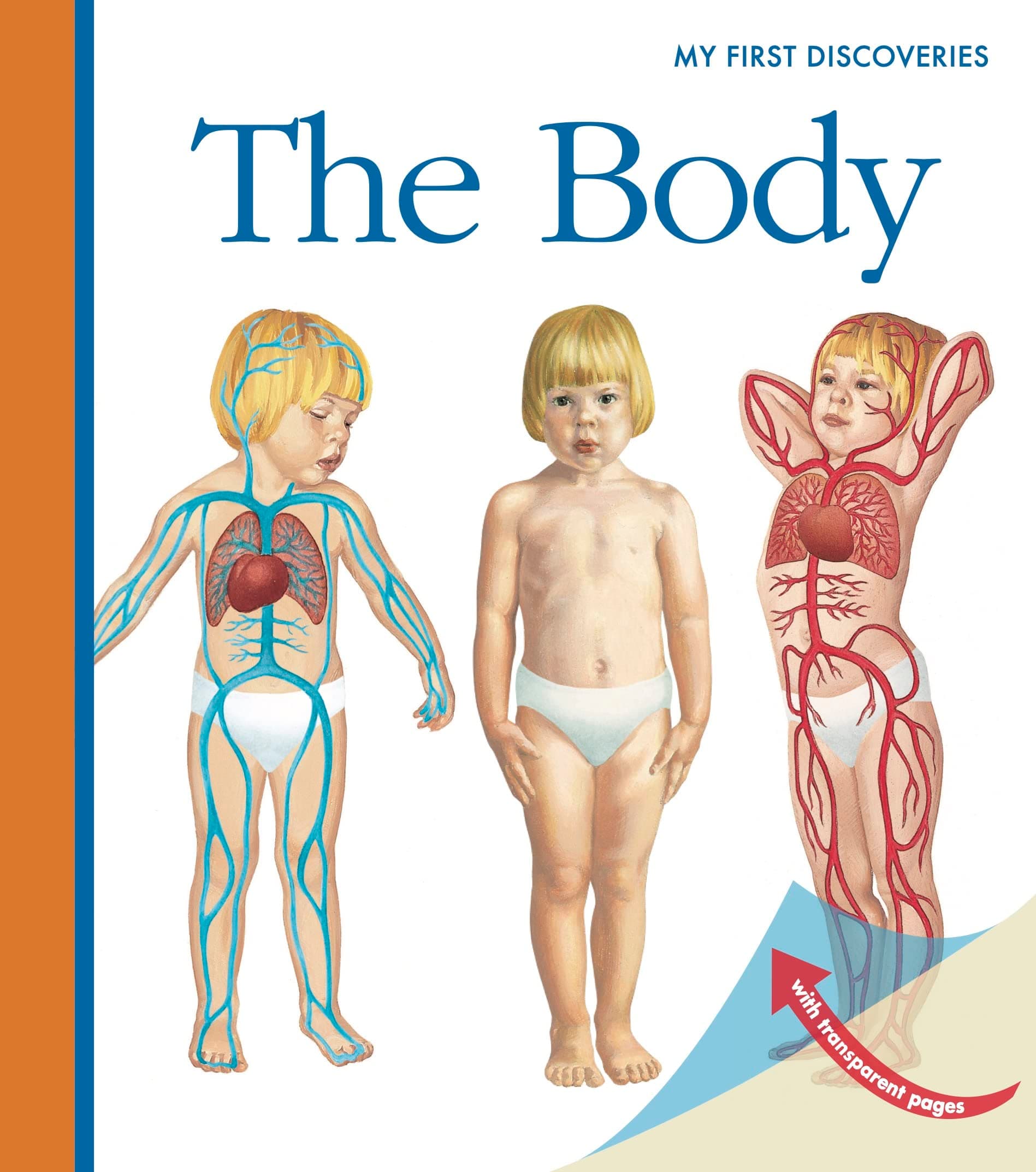 The Body (Volume 16) (My First Discoveries)