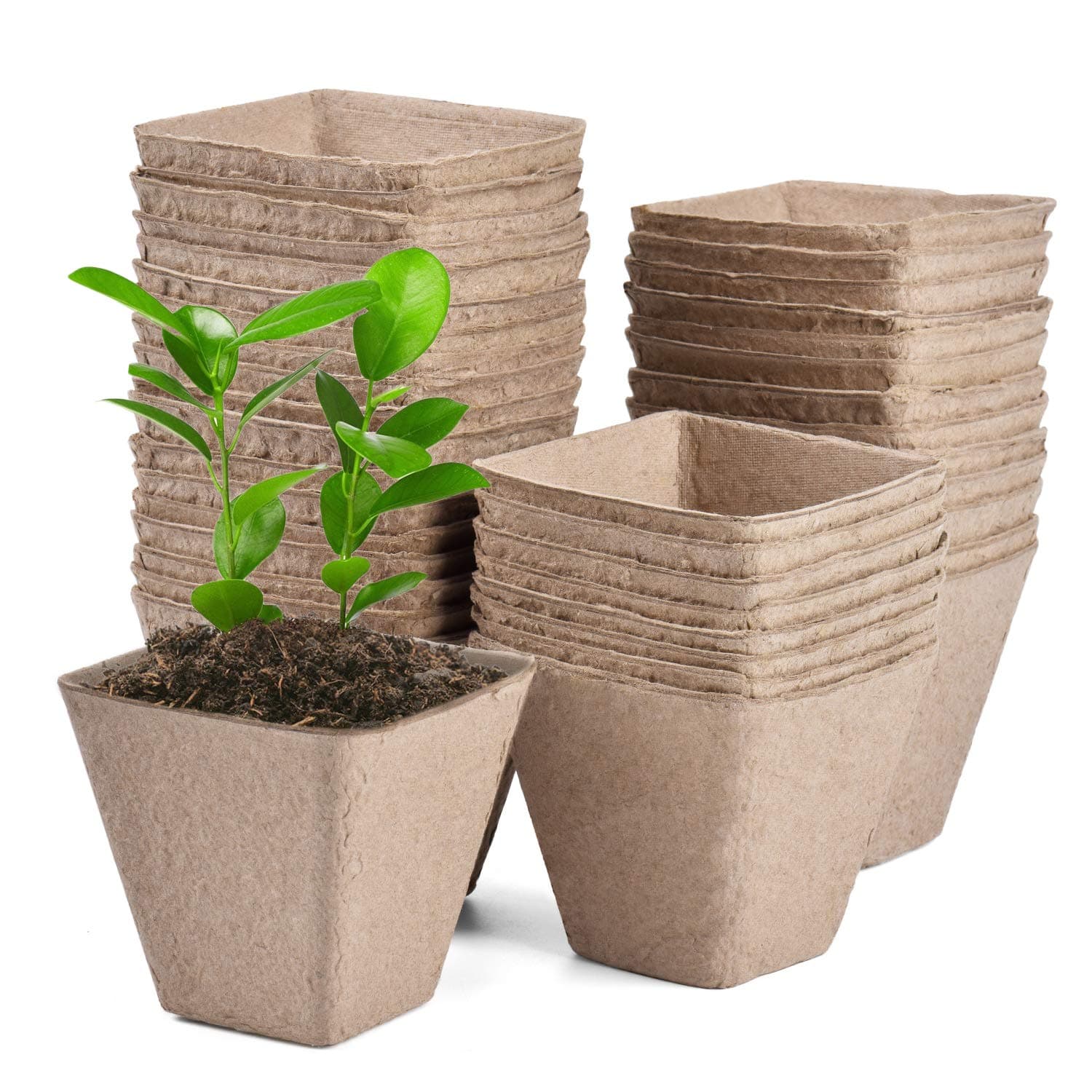 JOYSEUS 3.25" Seed Starter Pots, Organic Planting Peat Pots for Indoor Garden Seedling, 30 Pcs 100% Eco-Friendly and Biodegradable for Seed Germination