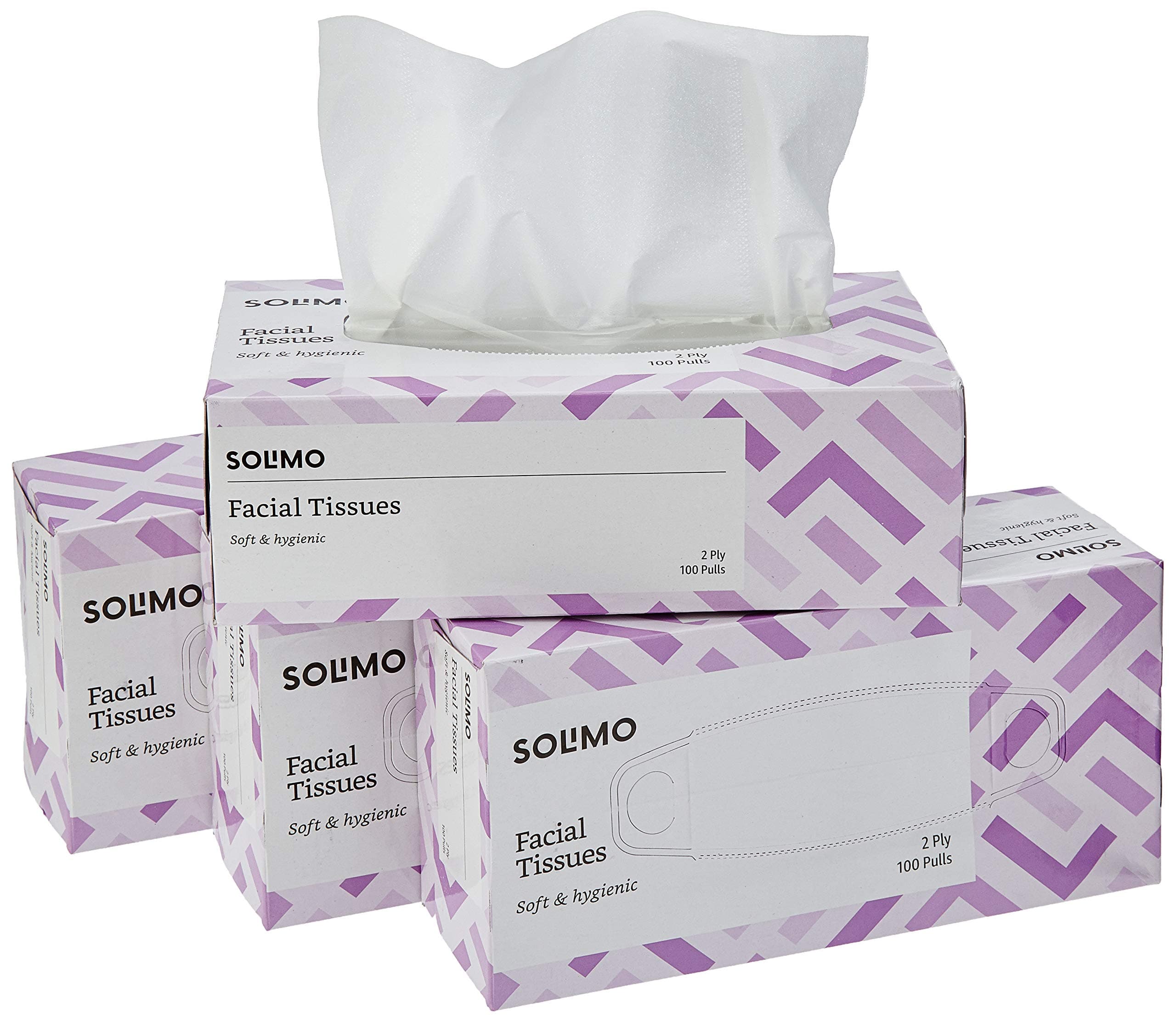 Facial Tissue Box, 2 Ply | 400 Tissue Papers | 100 Pulls x 4 Boxes | Soft & Highly Absorbent Tissues | 100% Natural Virgin Cellulose Fiber
