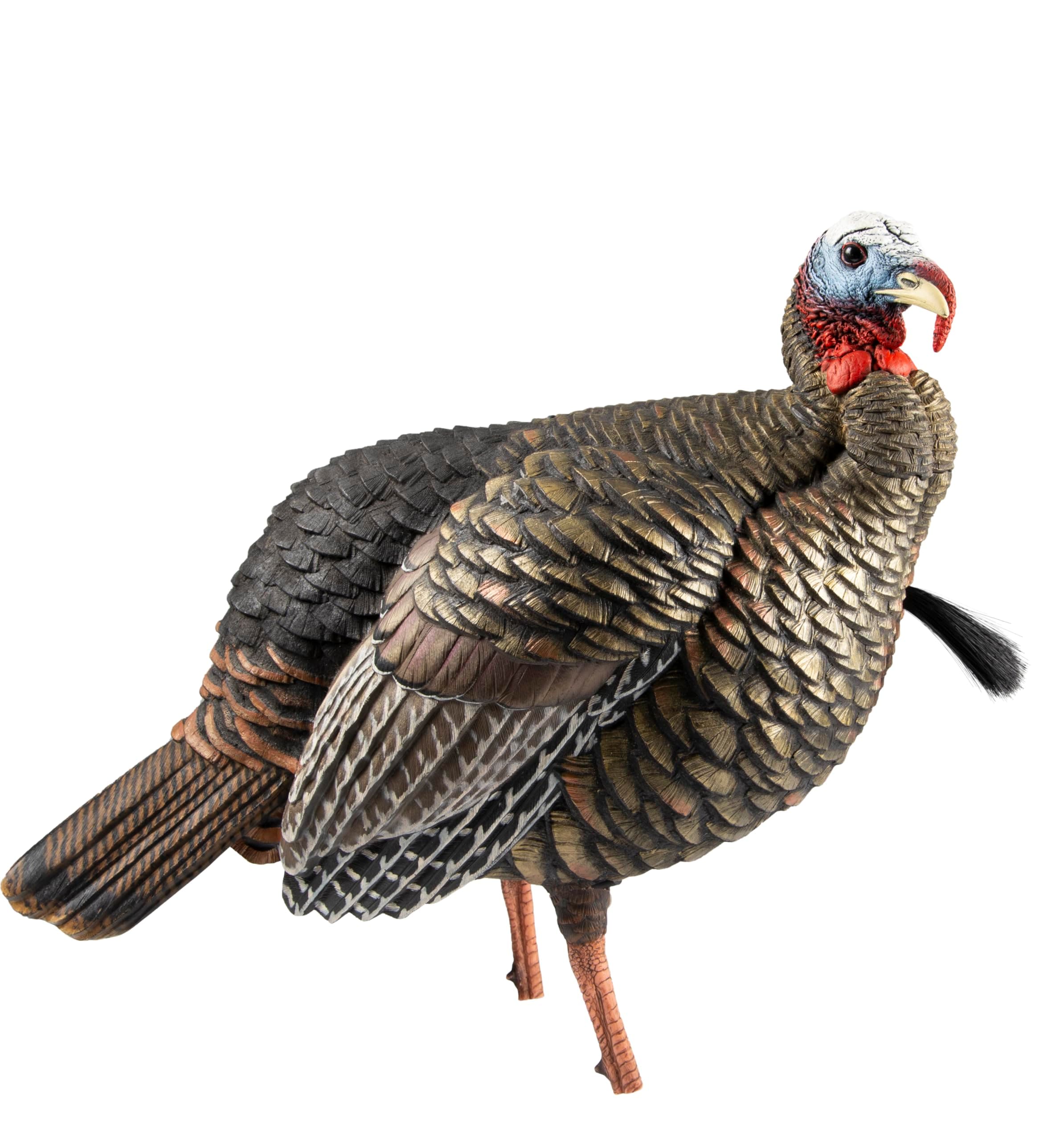 - HDR Jake Turkey Decoy | Rugged Durable Realistic Lifelike Quarter-Strut Body Standing Hunting Decoy with 2 Removable Heads, Mounting Stake & Carry Bag