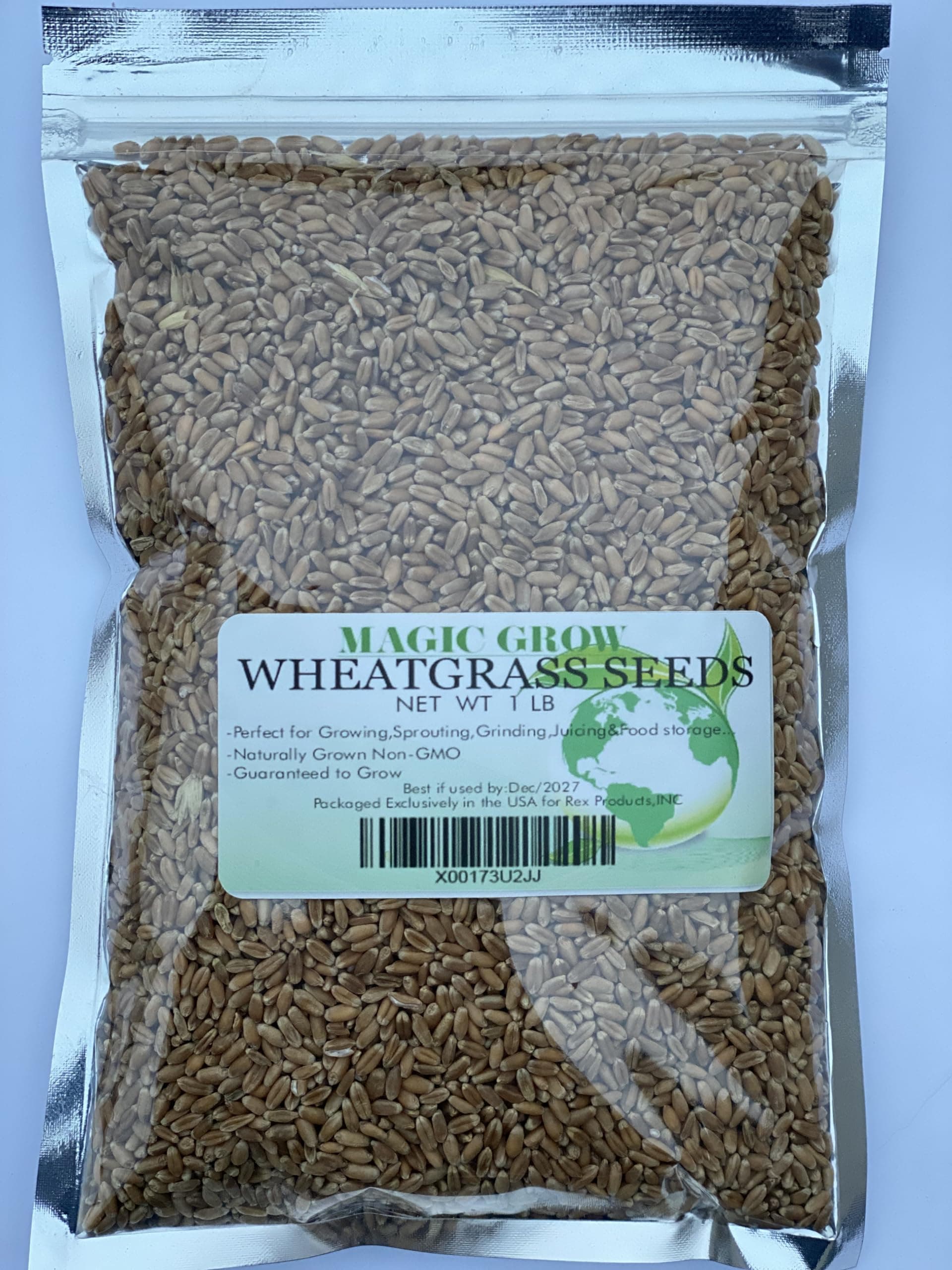 Wheat Grass Seed 1lb - Guaranteed to Grow