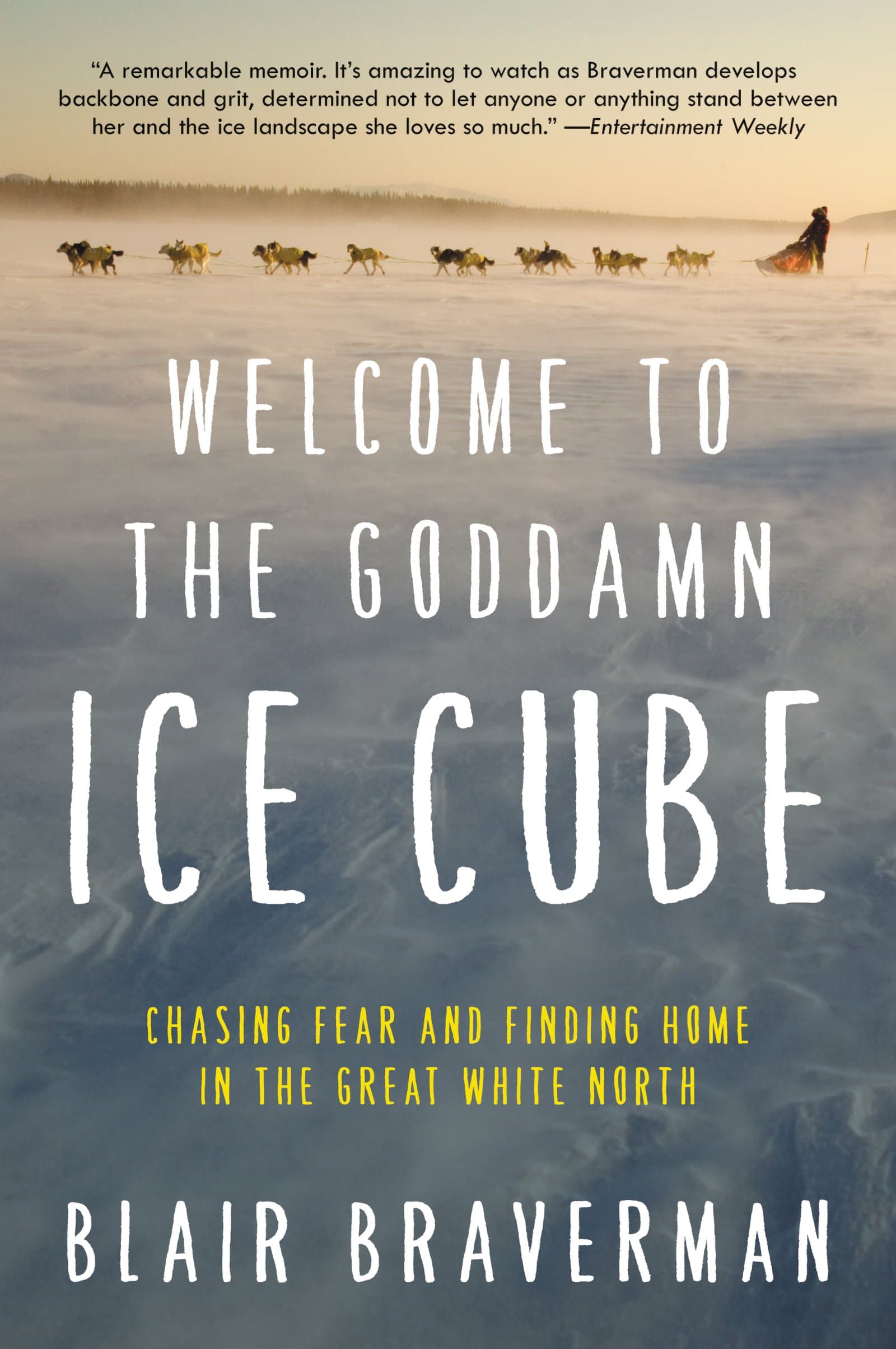 Welcome to the Goddamn Ice Cube