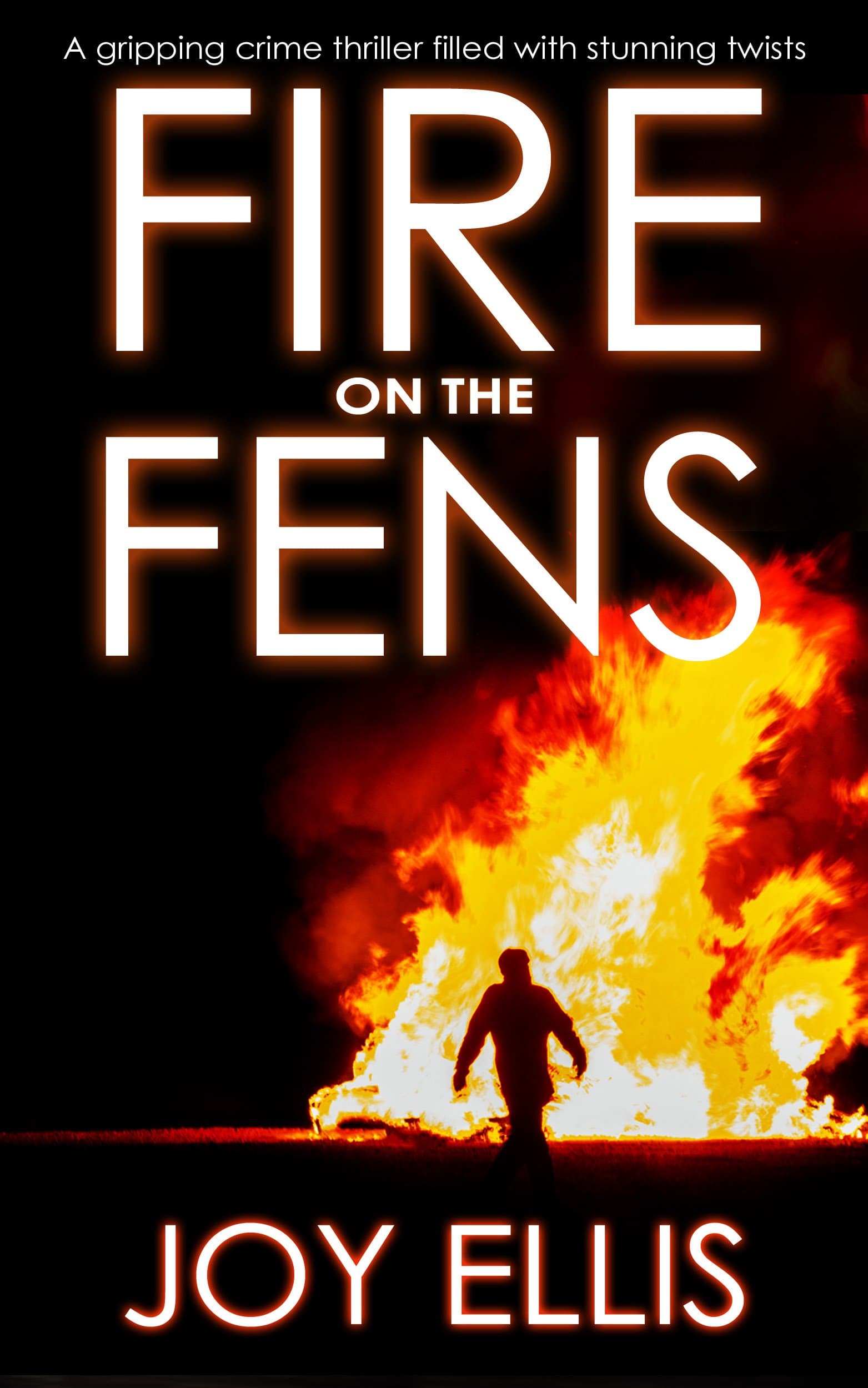 FIRE ON THE FENS a gripping crime thriller filled with stunning twists (DI Nikki Galena Series Book 9)