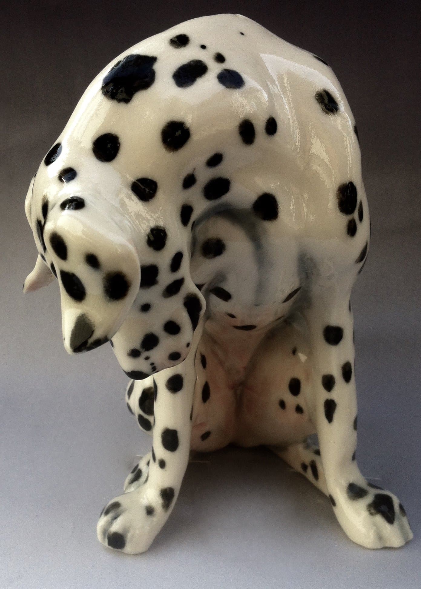 Dalmatian Ornament Dot by Clare McFarlane