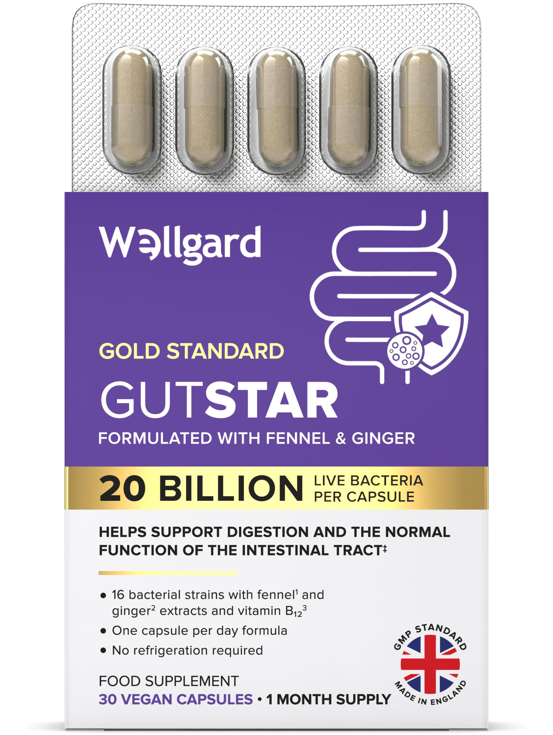 Wellgard Gutstar Probiotics - 16 Strain Probiotics for Gut Health with Fennel and Ginger, Vegan, UK Made