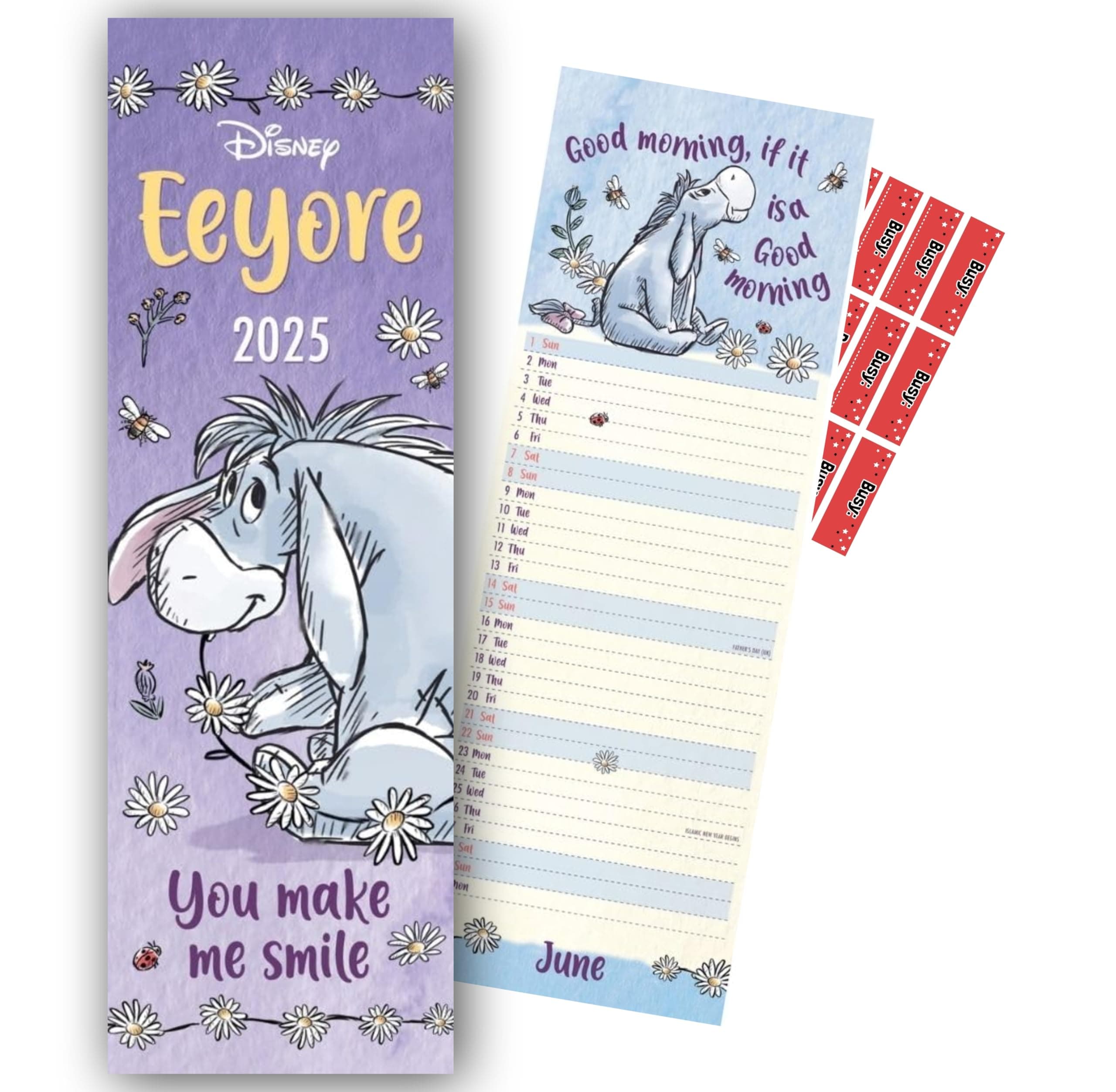 Disney Eeyore Calendar 2026 Slim Wall Calendar with FREE Organising Stickers Included