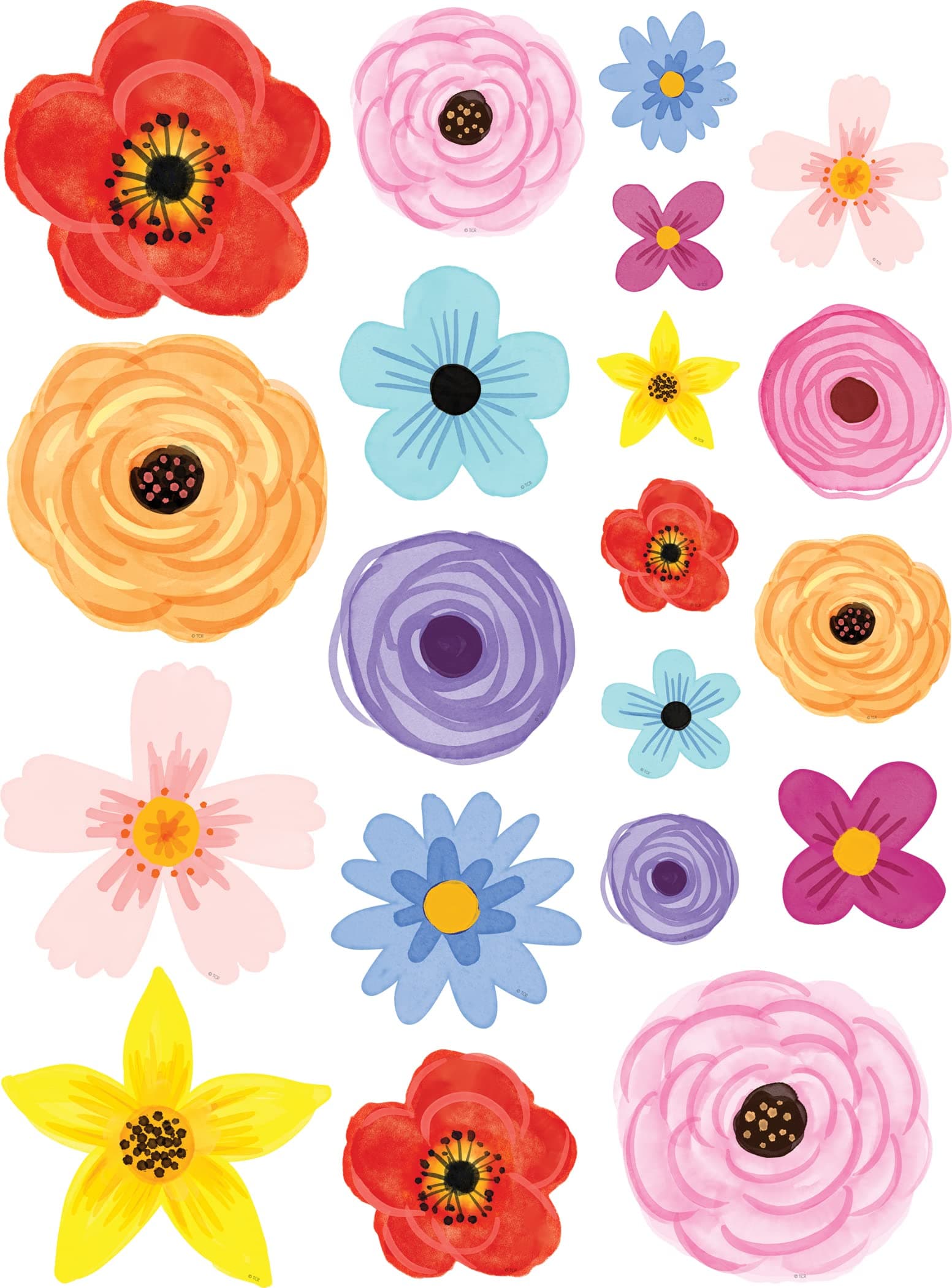 Teacher Created Resources Wildflowers Accents - Assorted Sizes (TCR6595)