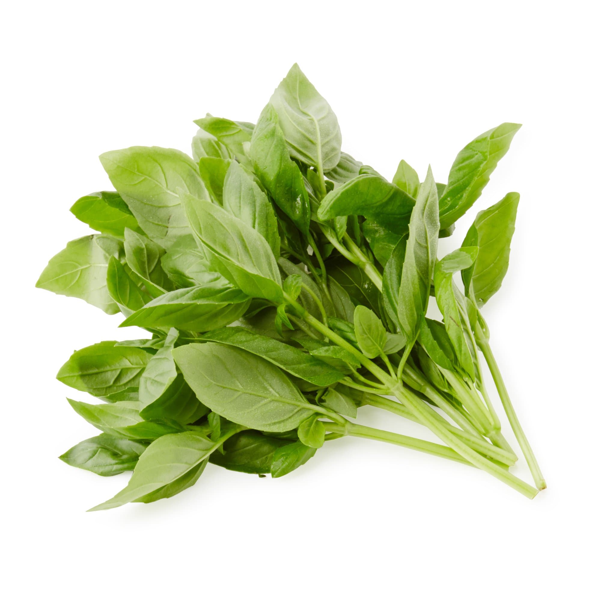Langmead Herbs Basil 25g