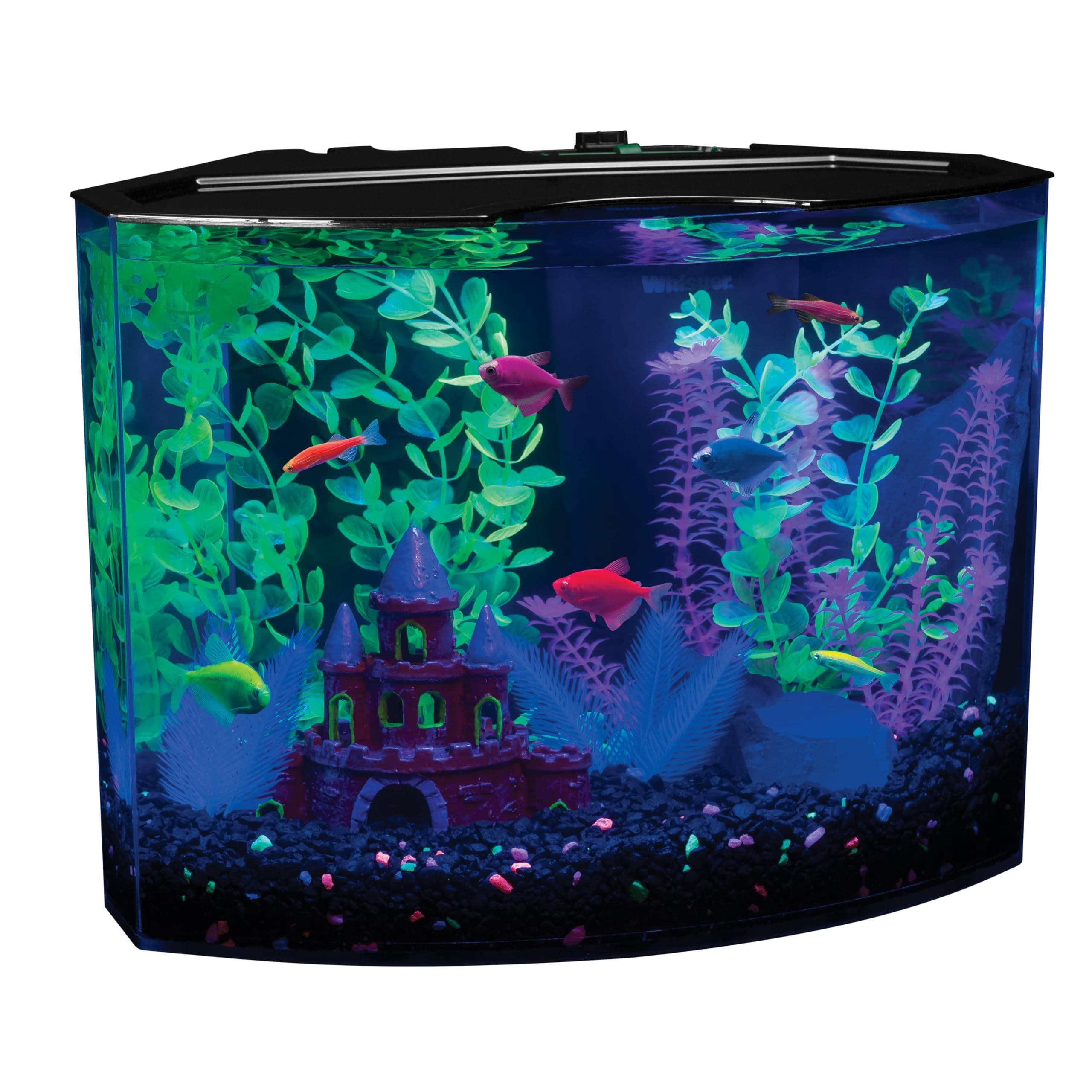 GloFish 29045 Aquarium Kit with Blue LED light, 5-Gallon