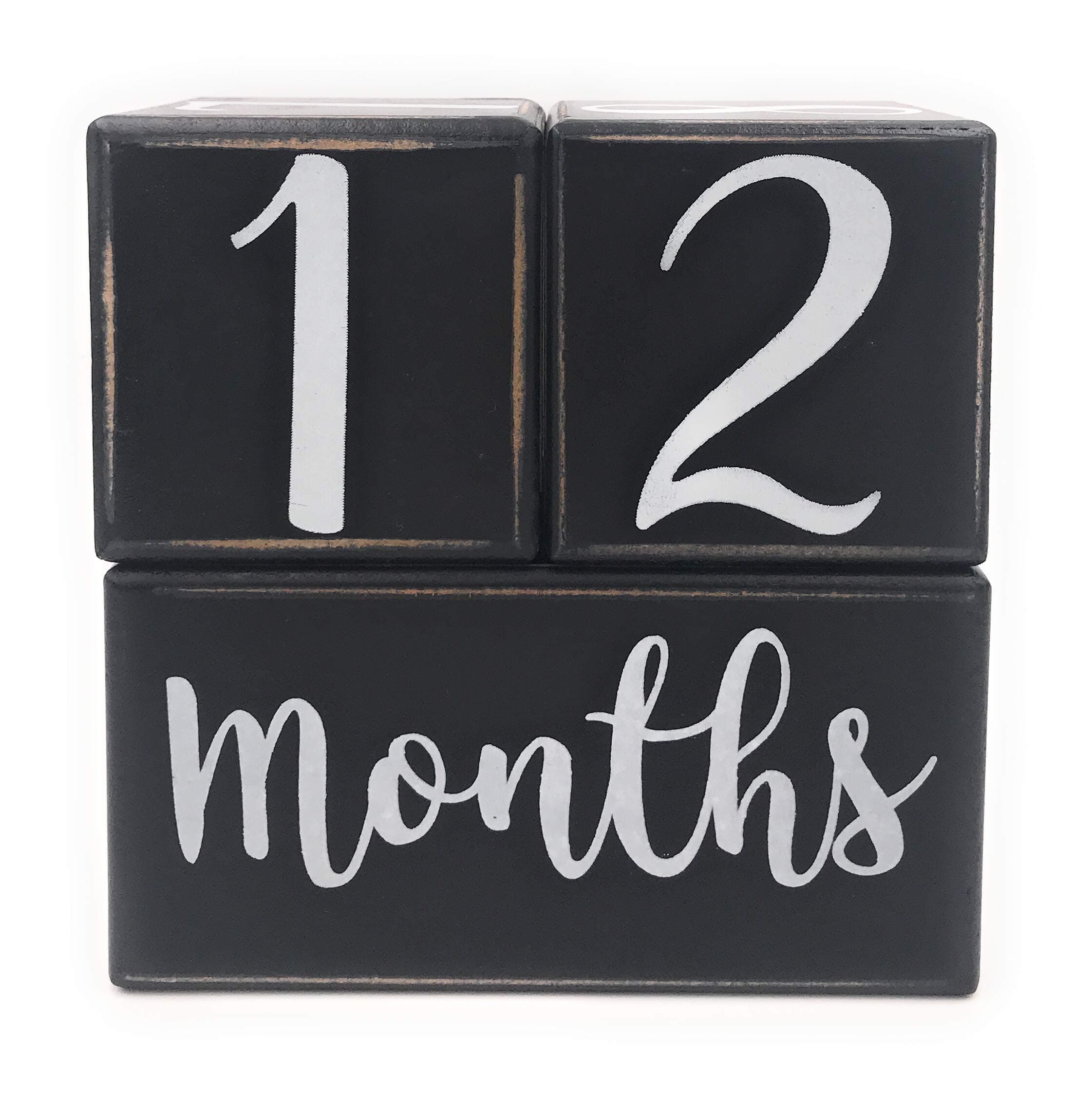 Baby Monthly Milestone Blocks Age Months Wood Photo Wooden Number Month Block