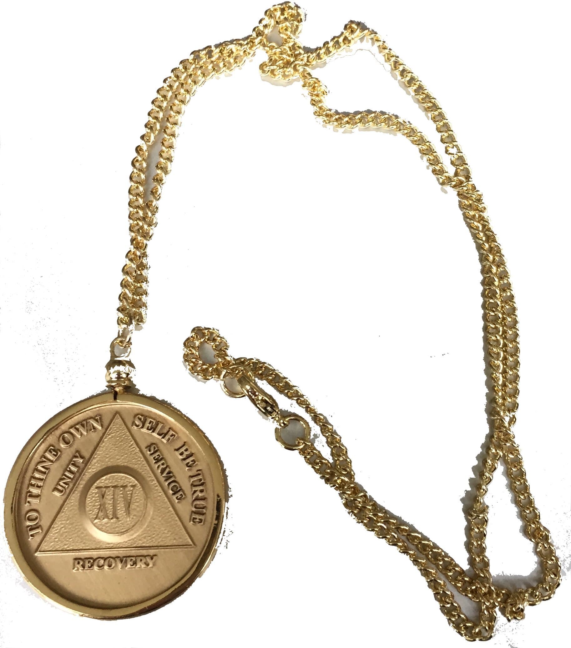 RecoveryChip Wendell's Fit AA NA Medallion Sobriety Chip Holder 22" Necklace Gold Plated