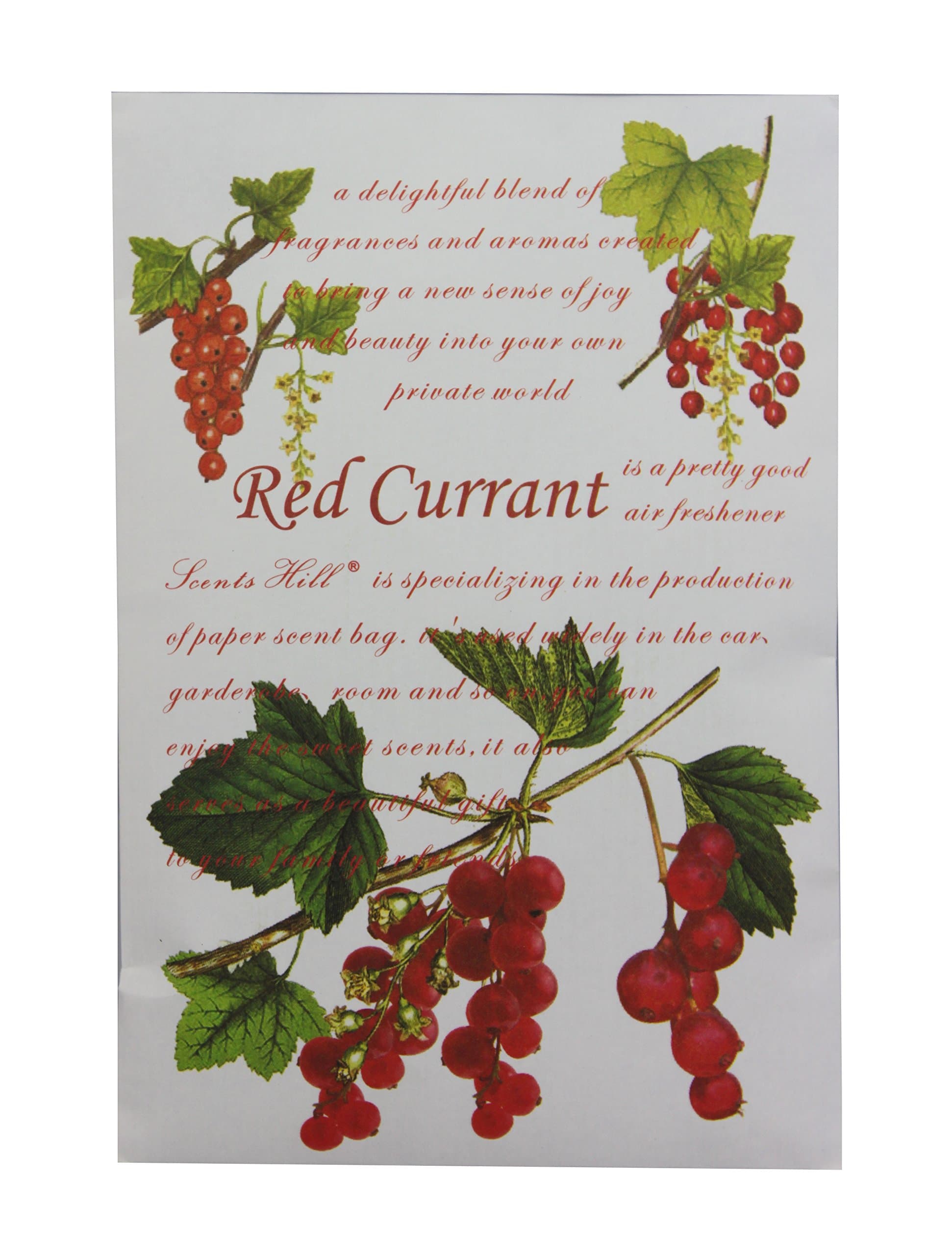 Scents Hill Air Freshener Scented Sachet, Lot of 4 (Red Currant)