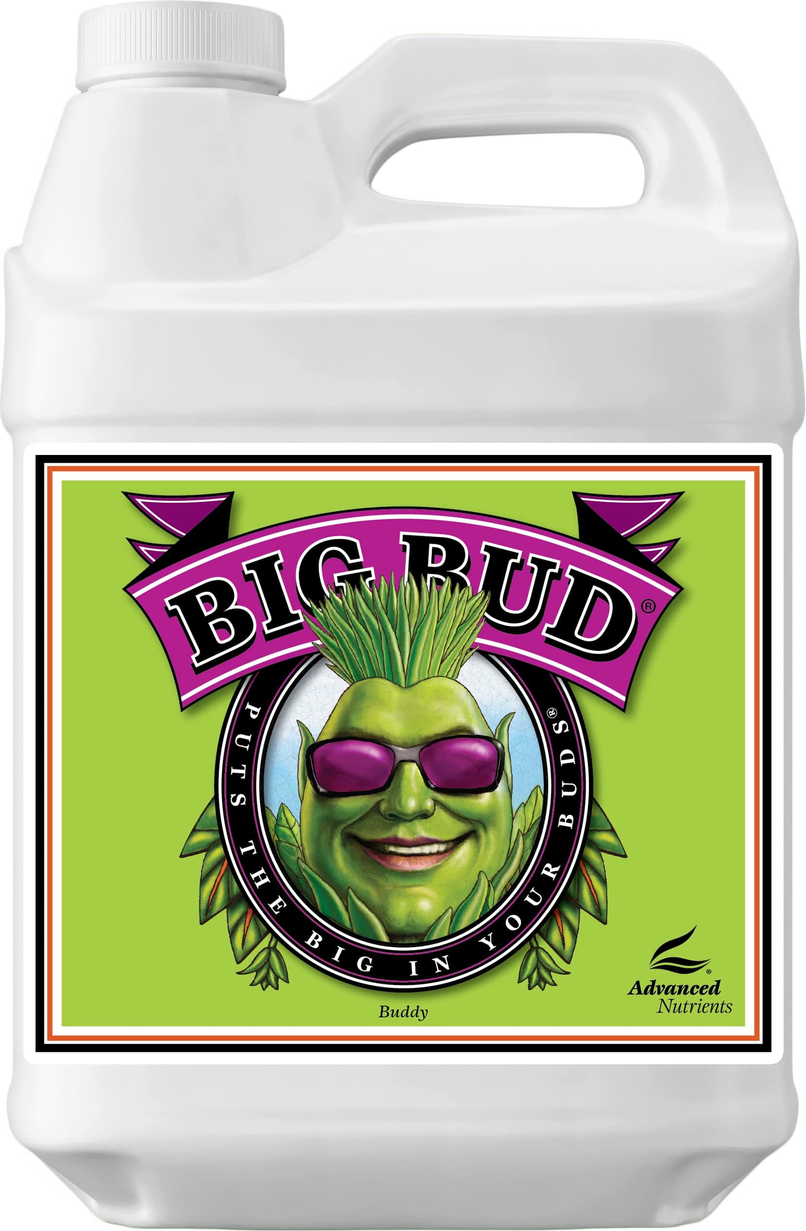 Advanced Nutrients GL525050-12 Big Bud Liquid Fertilizer, 250 mL, Brown/A