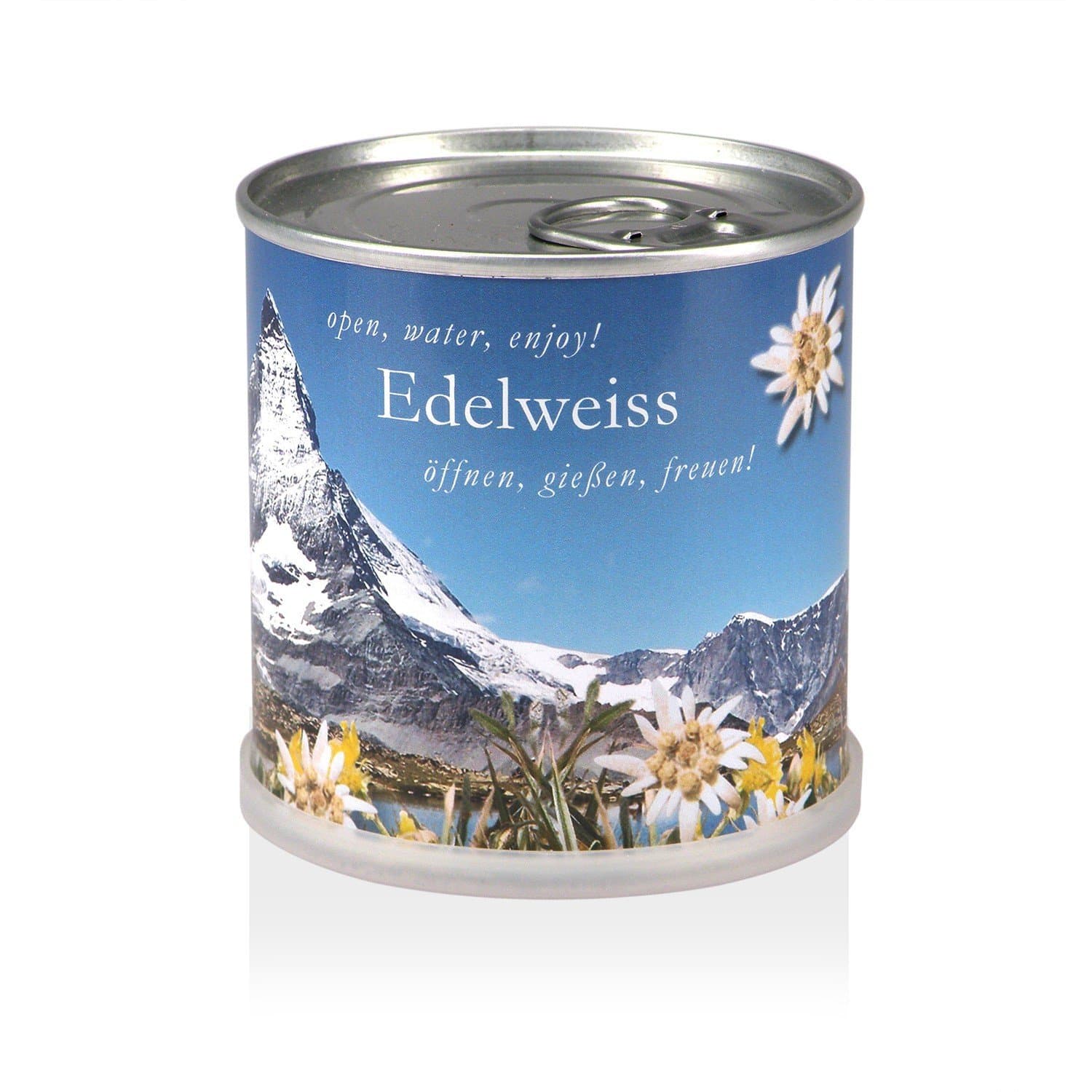 Extragifts Flowers in a Tin - Edelweiss