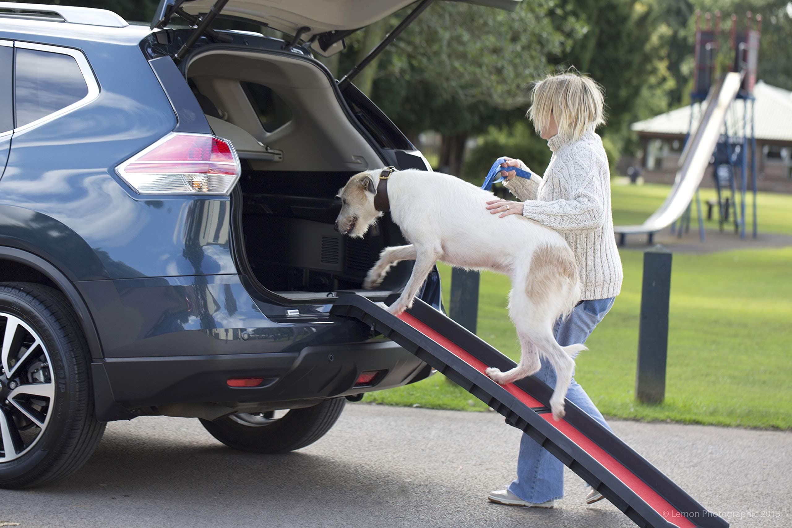 Henry Wag Lightweight Folding Dog Ramp - Easy access for senior dogs with mobility issues - Non Slip Surface & Weight Capacity of up to 90kg